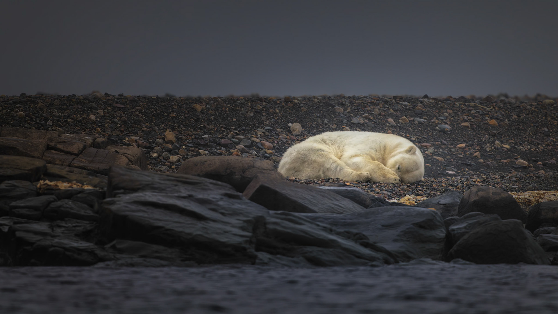 BRAVE ENOUGH TO SLEEP
