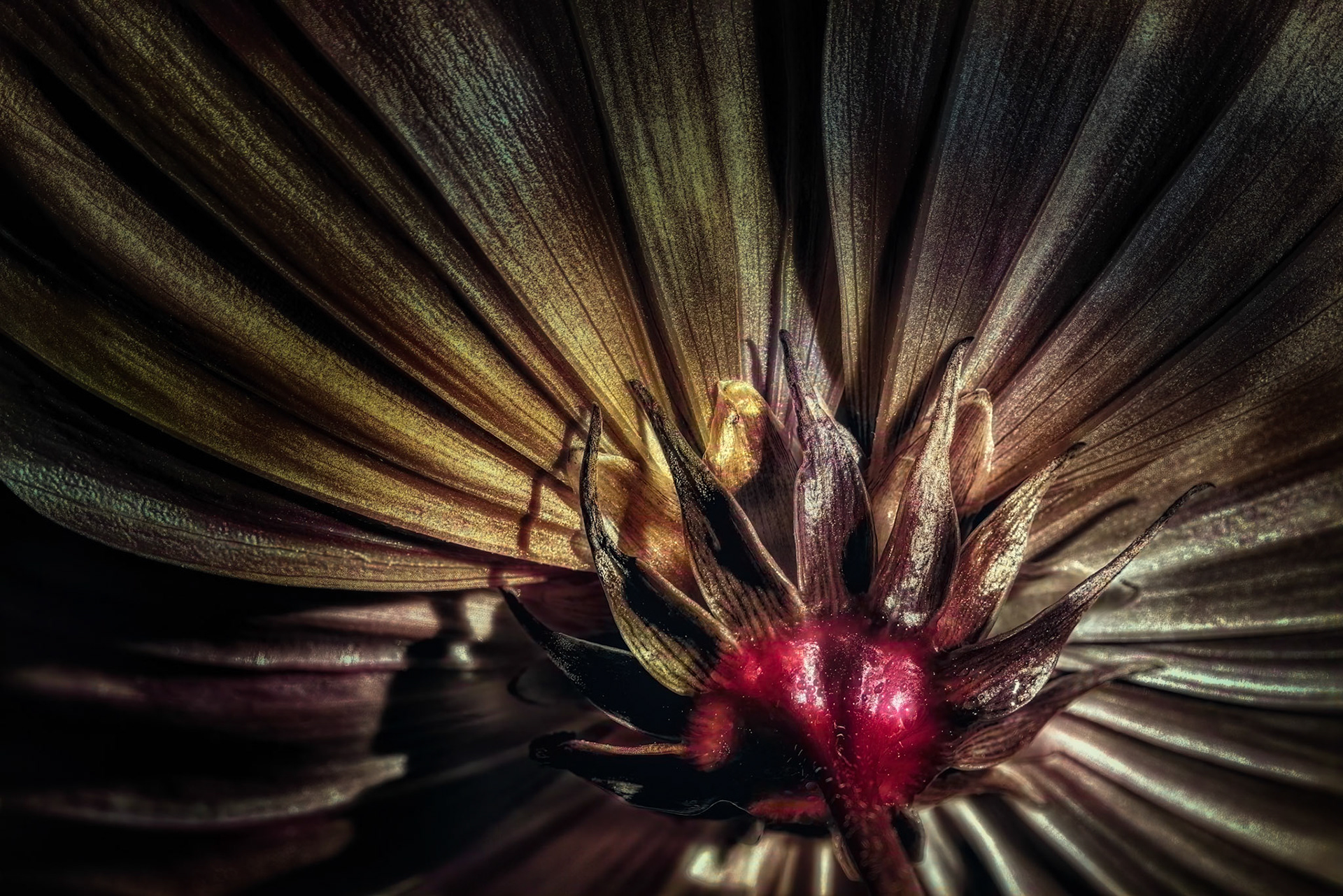 THE ARCHITECTURE OF NATURE