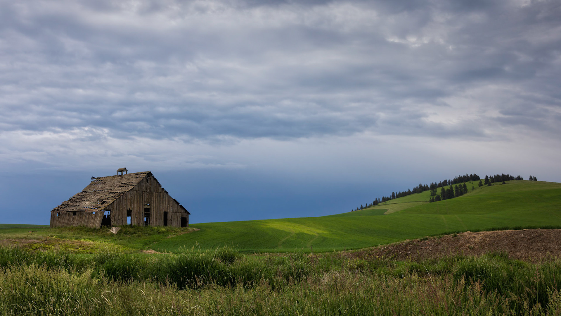 WEATHERED