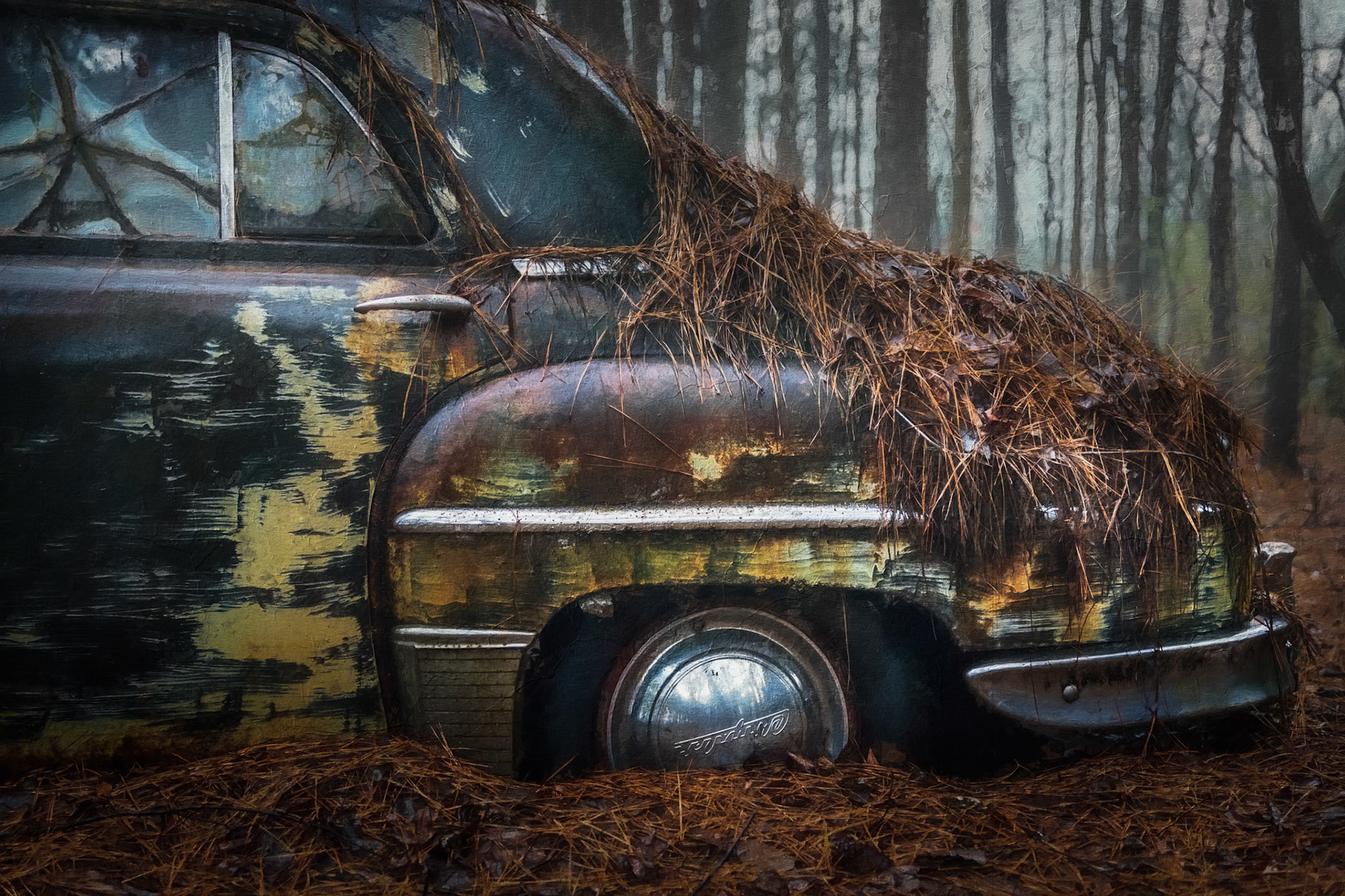 BURIED IN PINES  |  Blanketed by pine needles and softened by time, this vintage Plymouth seems less abandoned than remembered. The painterly treatment enhances the dreamlike quality of the scene, transforming metal, glass, and rust into something that feels suspended between reality and memory. It is as though the car has been quietly waiting in the forest while the decades drifted past.What draws me to this image is the sense of nostalgia it evokes. Once polished and proudly driven, it now rests beneath a canopy of trees, its story written in weathered paint and accumulated seasons. Nature has become both caretaker and artist, turning a forgotten automobile into a hauntingly beautiful relic of another era.