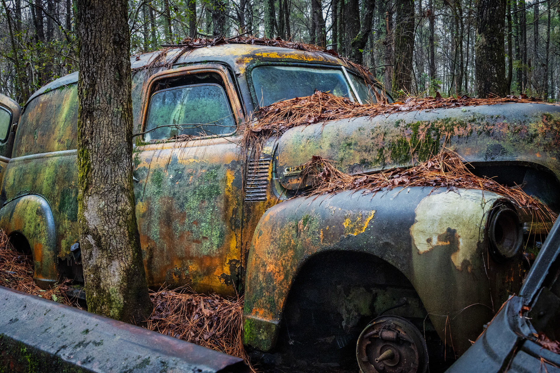 GROUNDED IN THE PINES  |  Hidden among the pines, this forgotten Chevrolet has become something more than an abandoned vehicle. Draped in moss, lichen, pine needles, and decades of weather, it appears less like a machine and more like a creature of the forest itself, quietly standing watch as nature slowly reclaims every surface.What captivates me is the remarkable palette created by time. Greens, golds, rusts, and grays blend together like an impressionist painting, transforming decay into beauty. The truck may have stopped moving long ago, but in its stillness it has found a second life as part of the woodland landscape, where nature and history now share the same story.