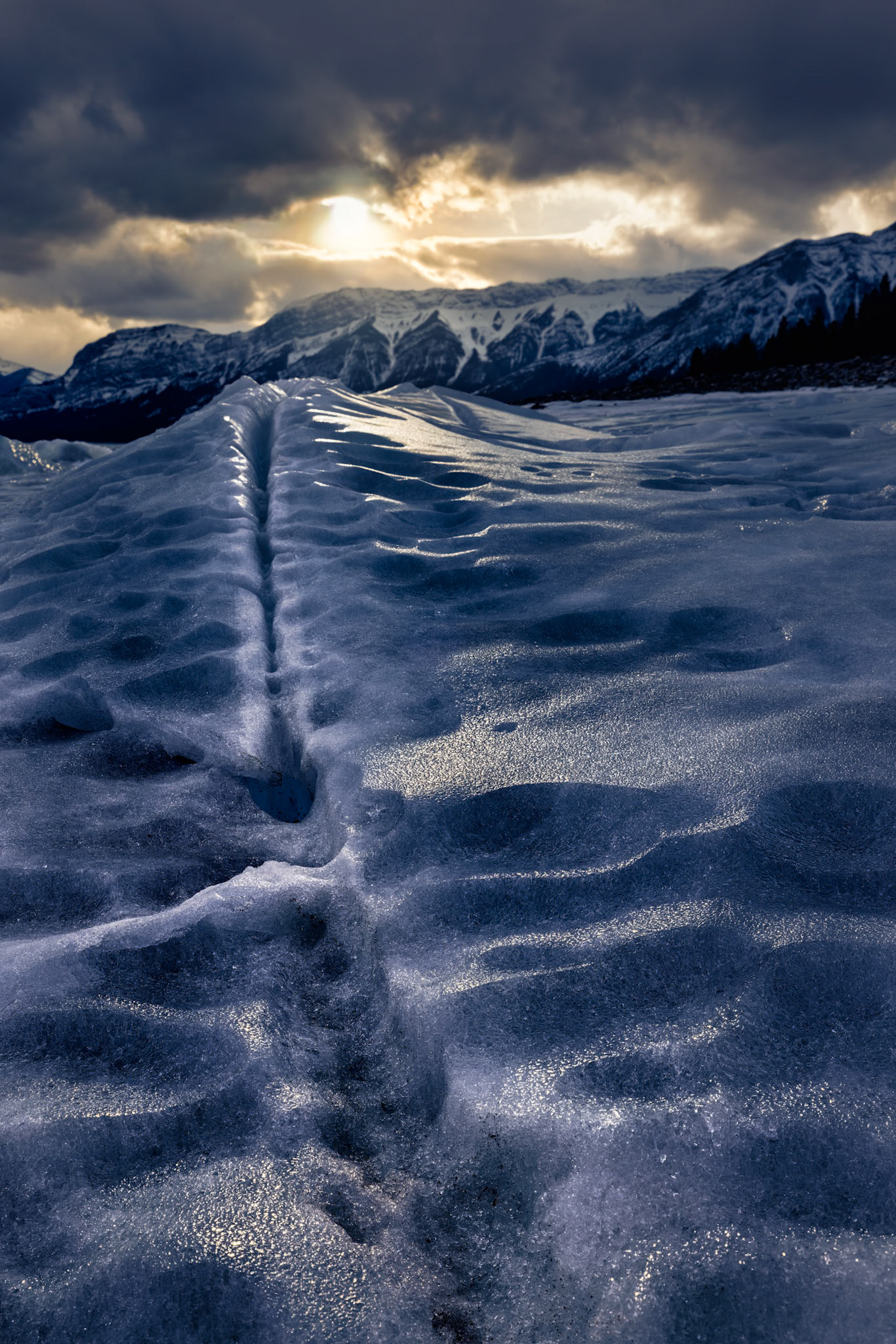 INTO THE LIGHT  |  Some photographs begin with a grand vista. Others begin with a single detail that refuses to be ignored.