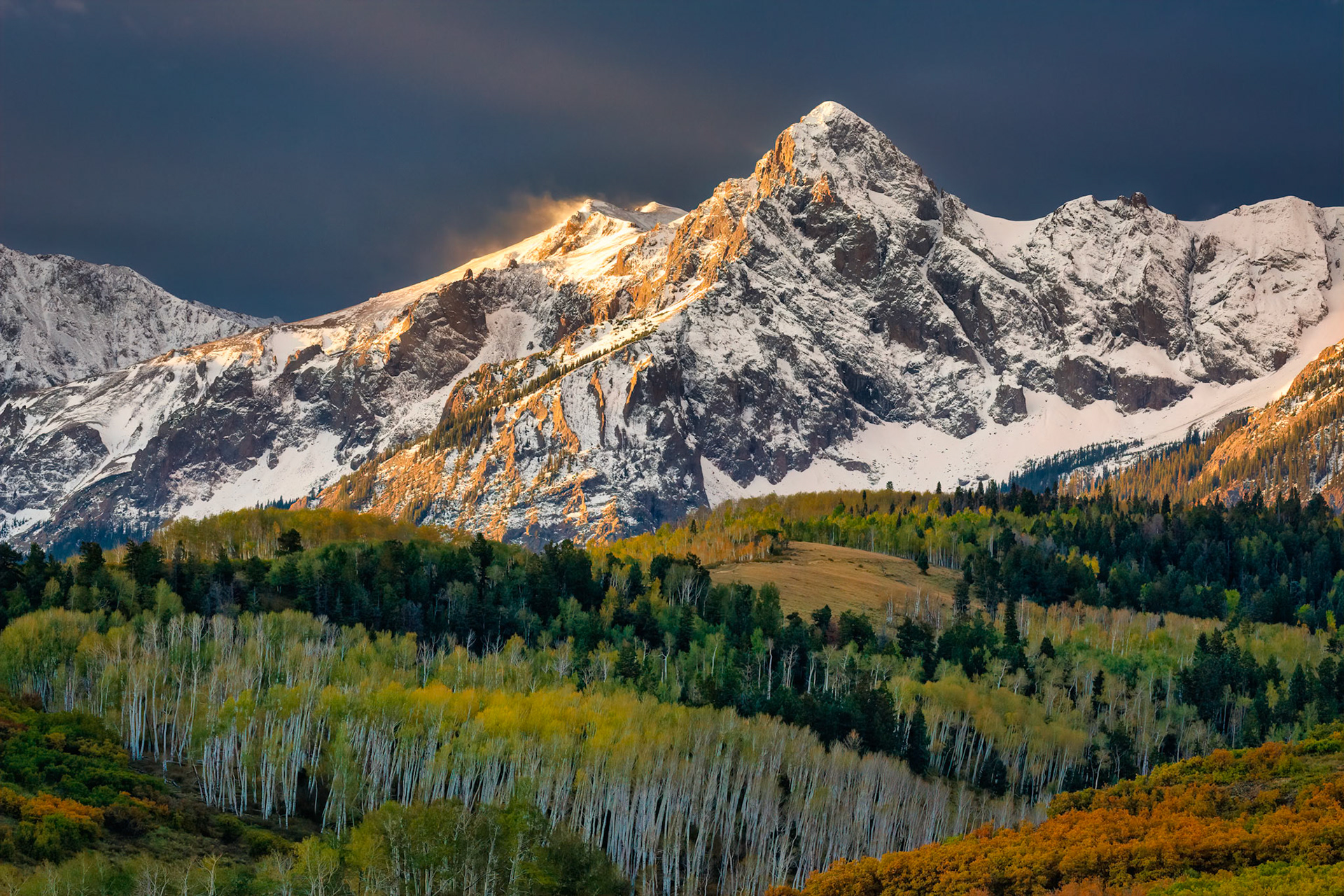 ASPENGLOW ON THE RANGE