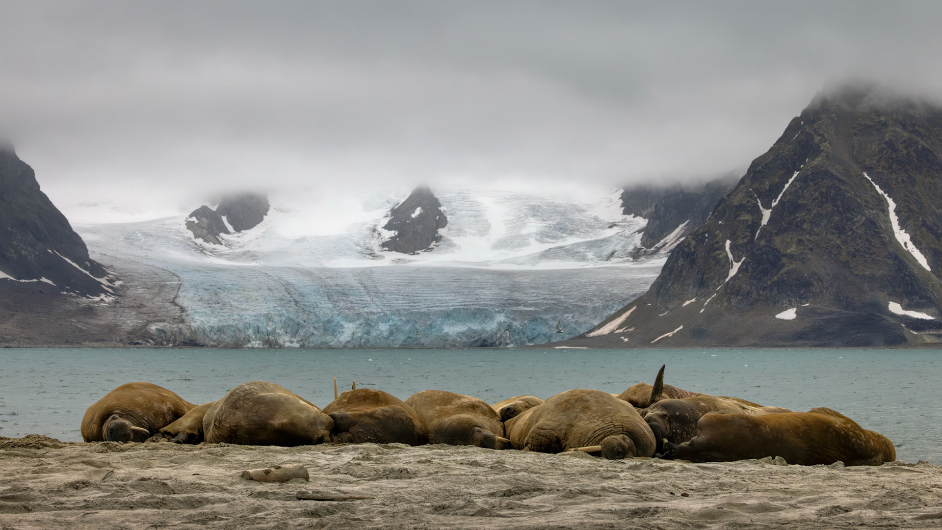 STILLNESS BEFORE THE GLACIER