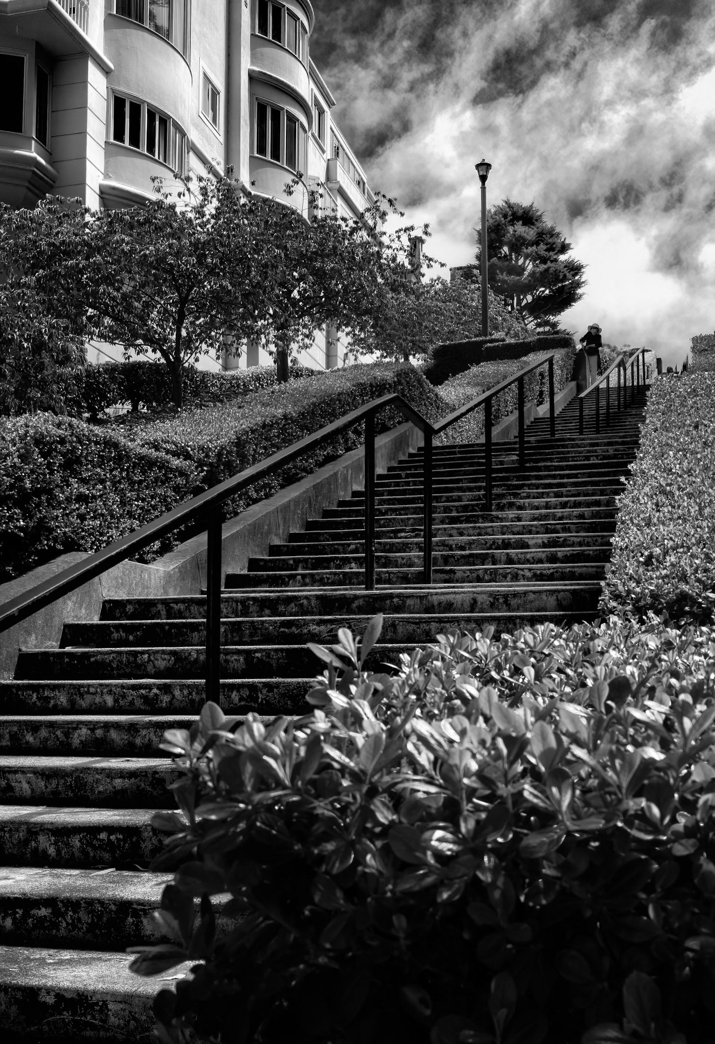 LYON STREET STEPS