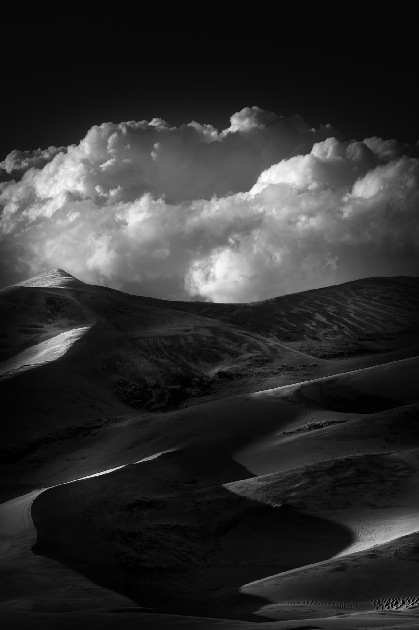 SCULPTED BY LIGHT