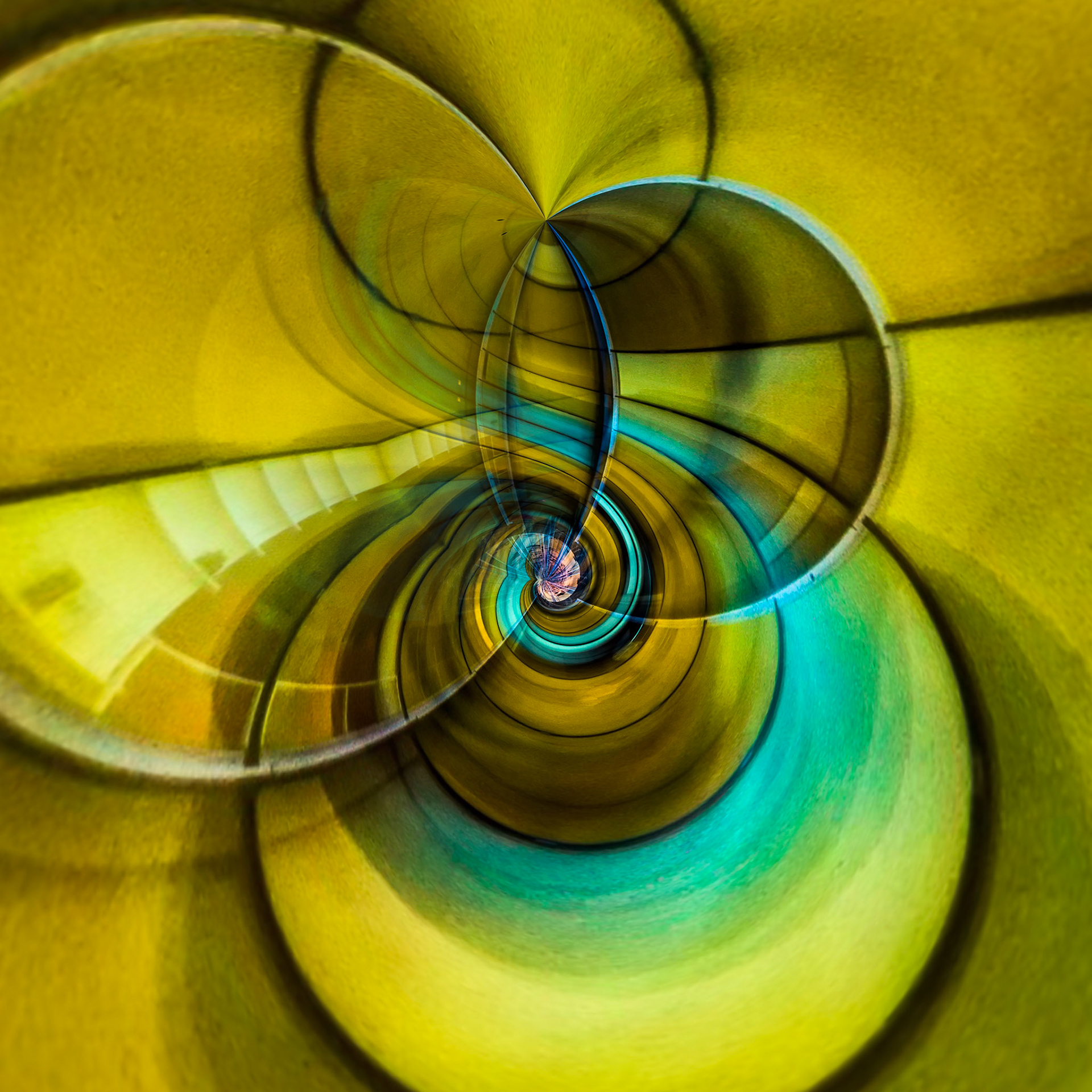 THE COLOR OF MOTION