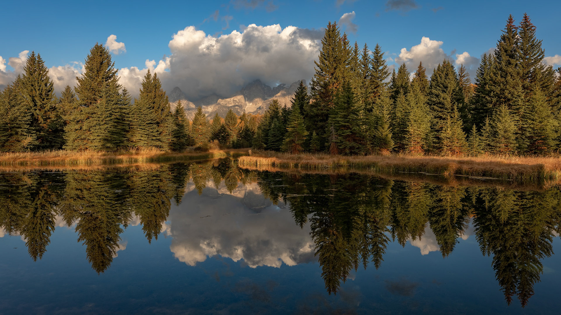 REFLECTIONS OF TETONS