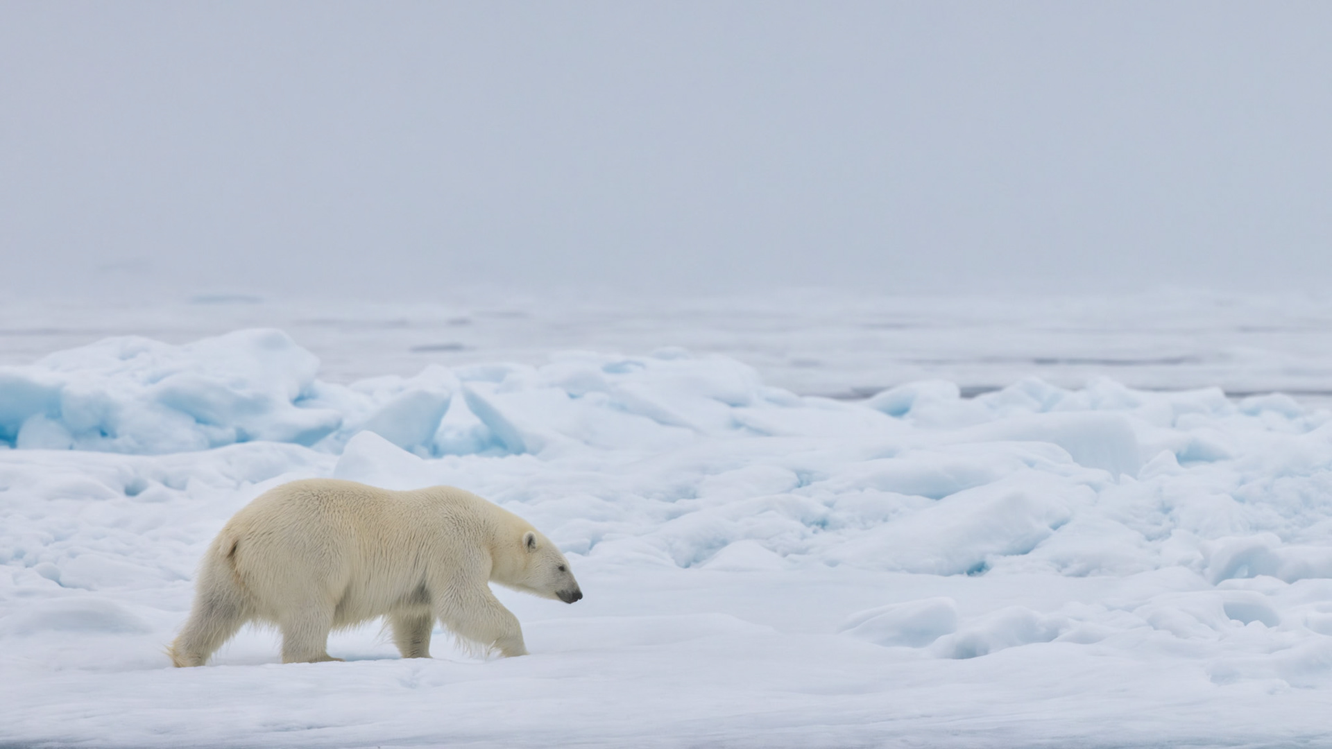 MOVING AT MY OWN PACE