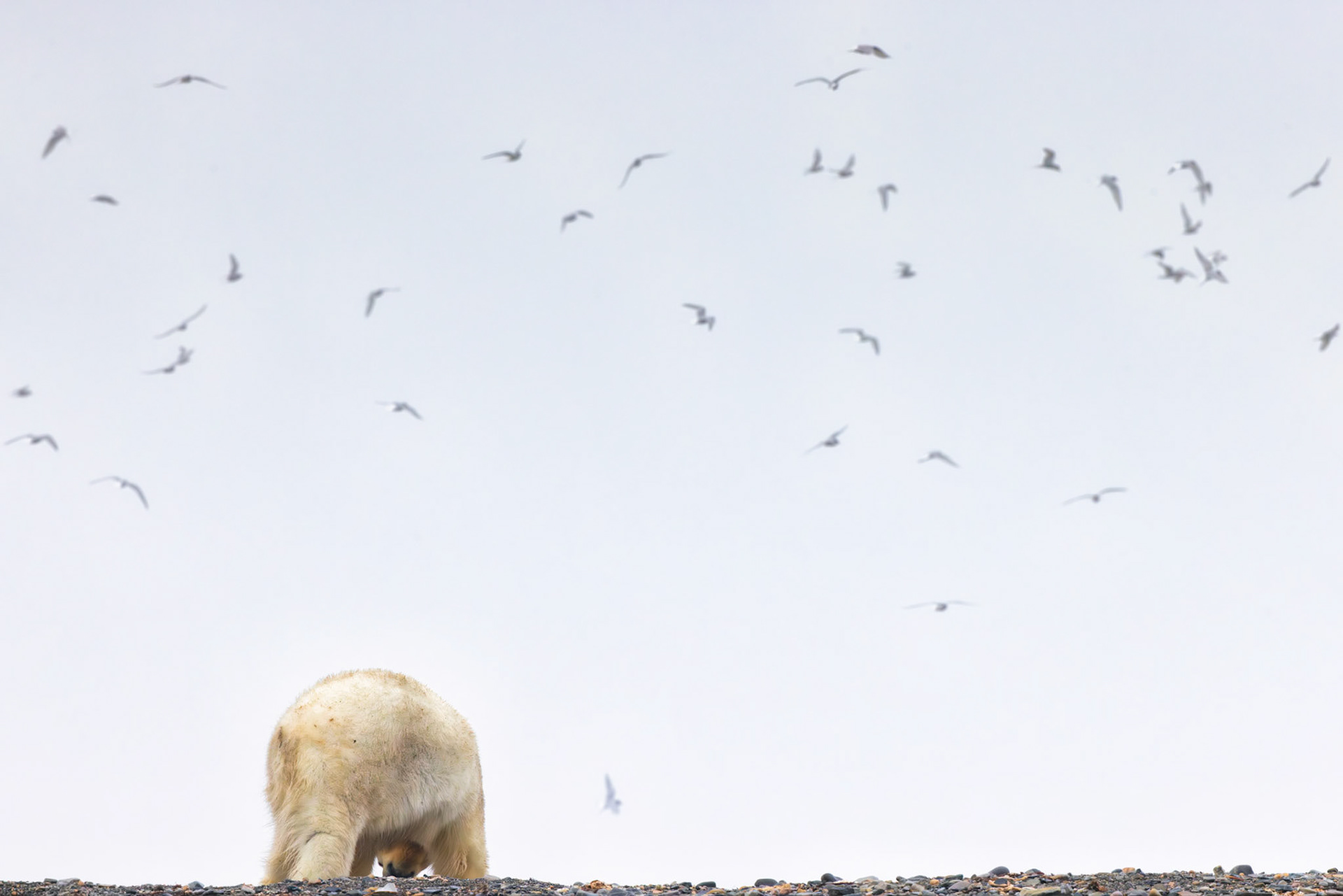 THE SKY IS LOUD TODAY