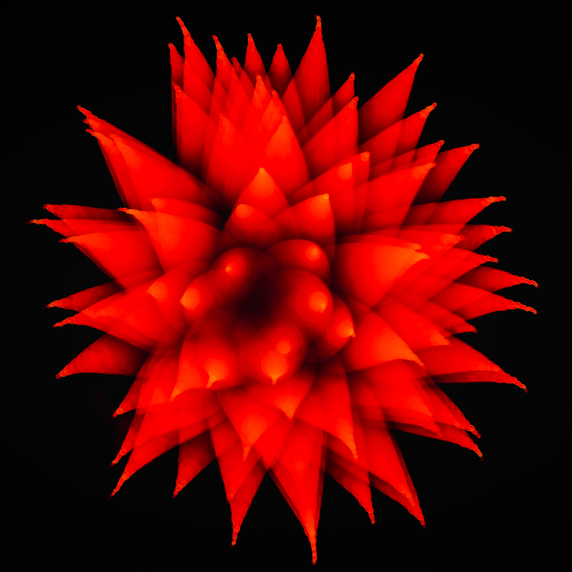 CORE BLOOM