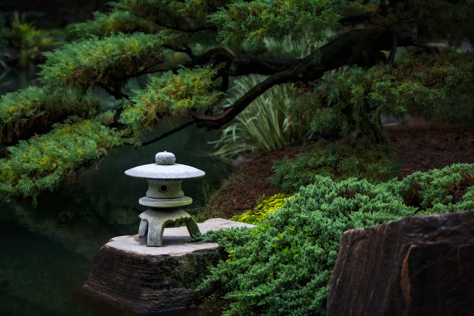 A PLACE OF STILLNESS  |  n the Japanese garden, nothing demands attention. Beauty reveals itself slowly.A simple stone lantern rests at the water's edge, surrounded by sculpted evergreens and reflected shadows. The scene is quiet, balanced, and deliberate. Every element seems placed not for display, but for contemplation.The lantern itself serves as both focal point and symbol. Traditionally, these structures illuminated garden paths and temple grounds, guiding visitors through darkness. Here, it feels less like a source of light and more like a marker of stillness, a reminder to pause amid the distractions of daily life.The subdued palette and gentle curves of the surrounding foliage create a sense of calm that is increasingly rare. There is no drama, no grand spectacle. Just harmony between stone, water, and nature.