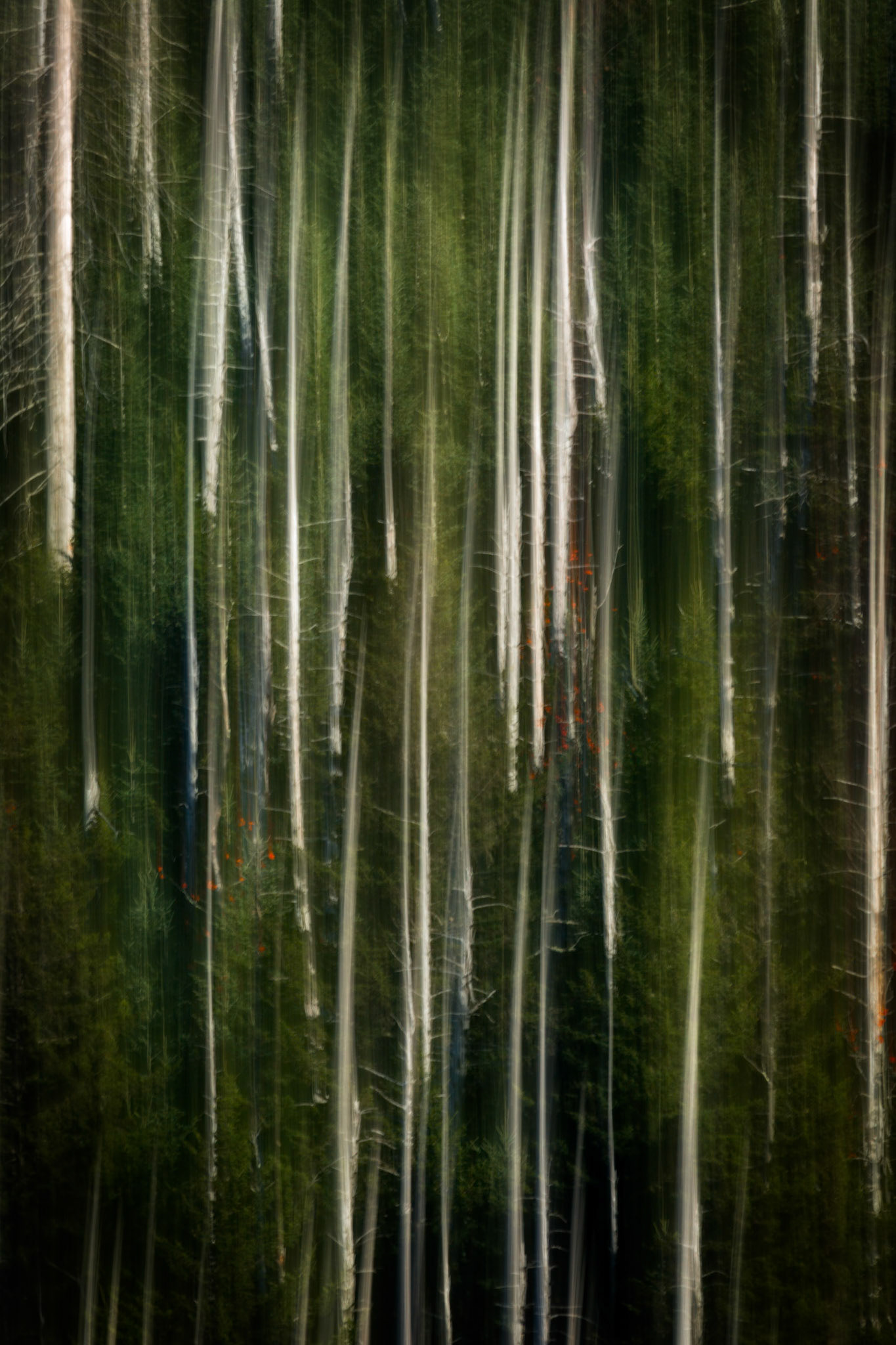 VERTICAL DRIFT