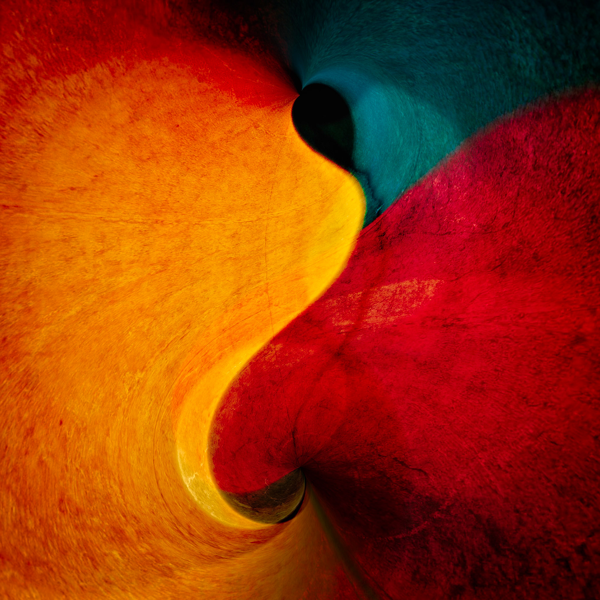 WHERE COLOR DIVIDES