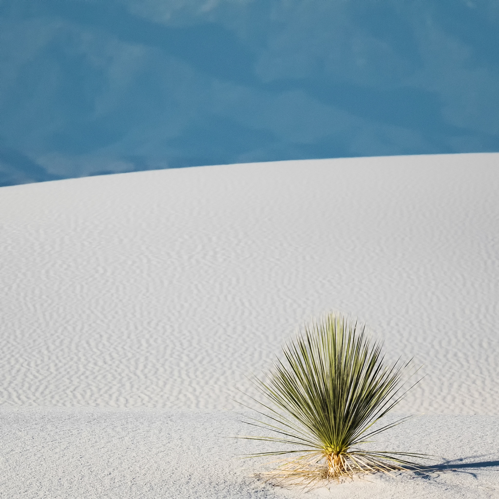 SOLITARY