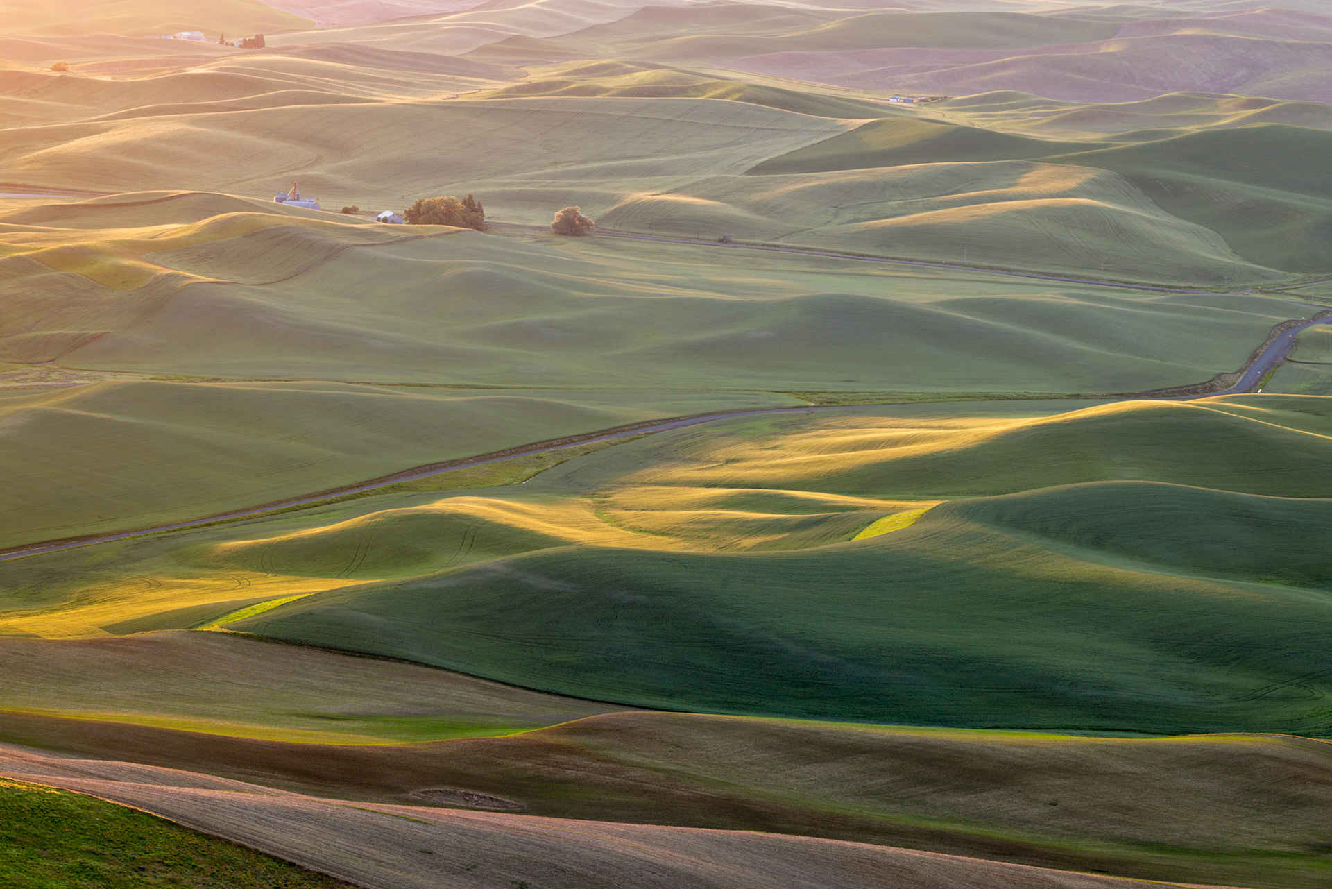 PALOUSEAN SUNRISE