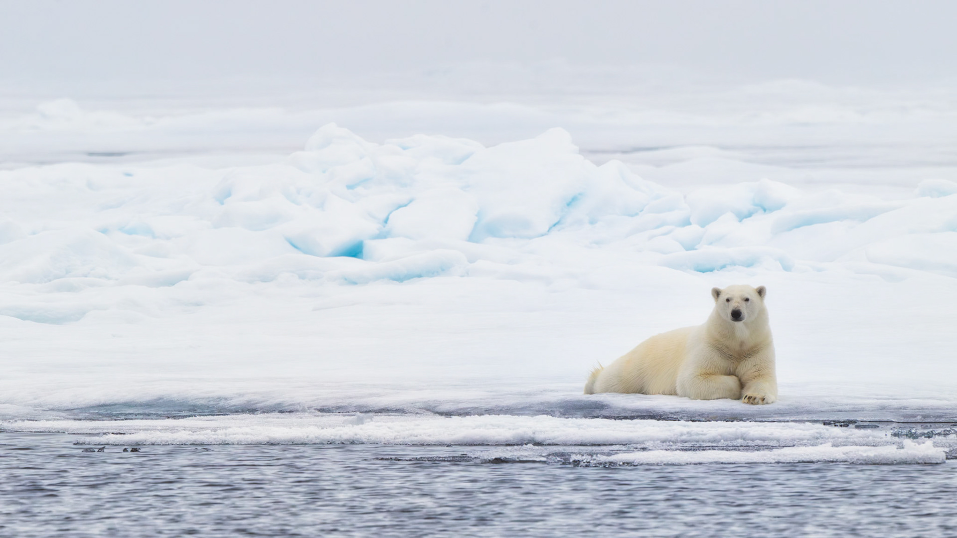 EMPRESS OF THE ARCTIC