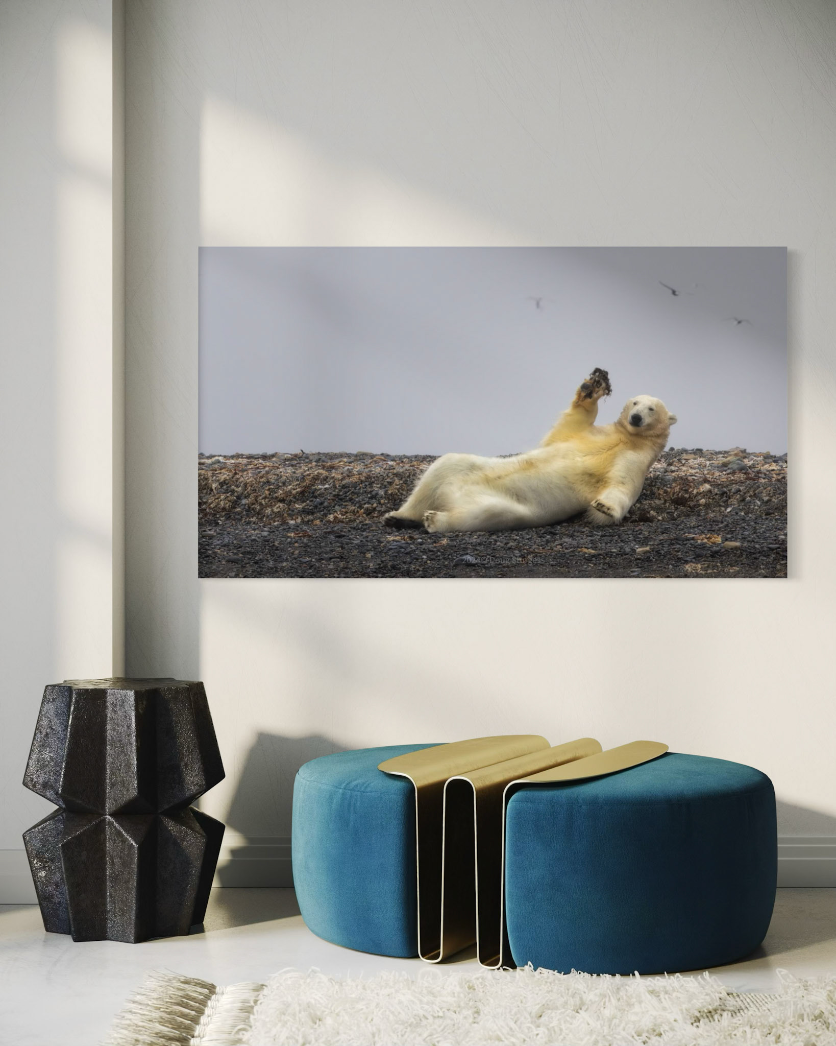 THE POLAR BEAR WHO KNEW HE WAS BEING WATCHED