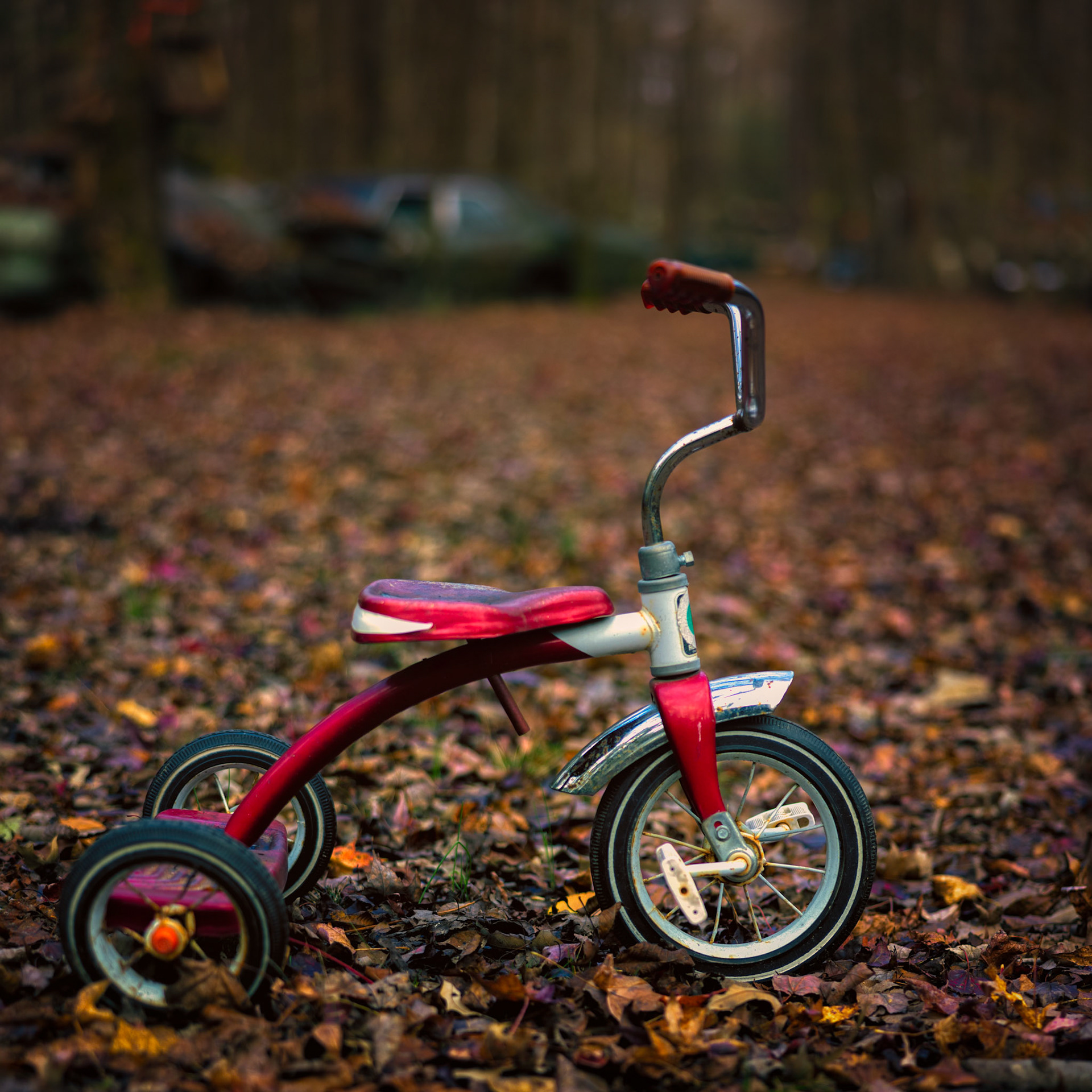 SMALL WHEELS, BIG ROAD