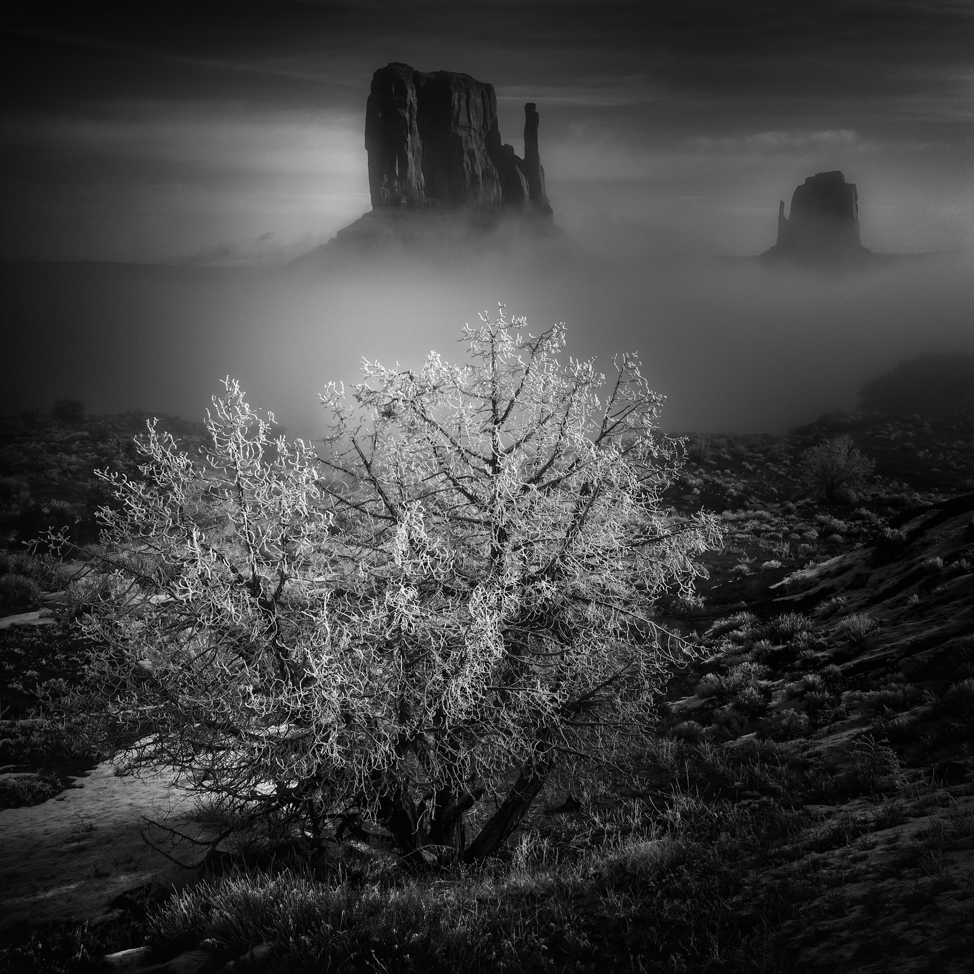 CATHEDRAL OF MIST
