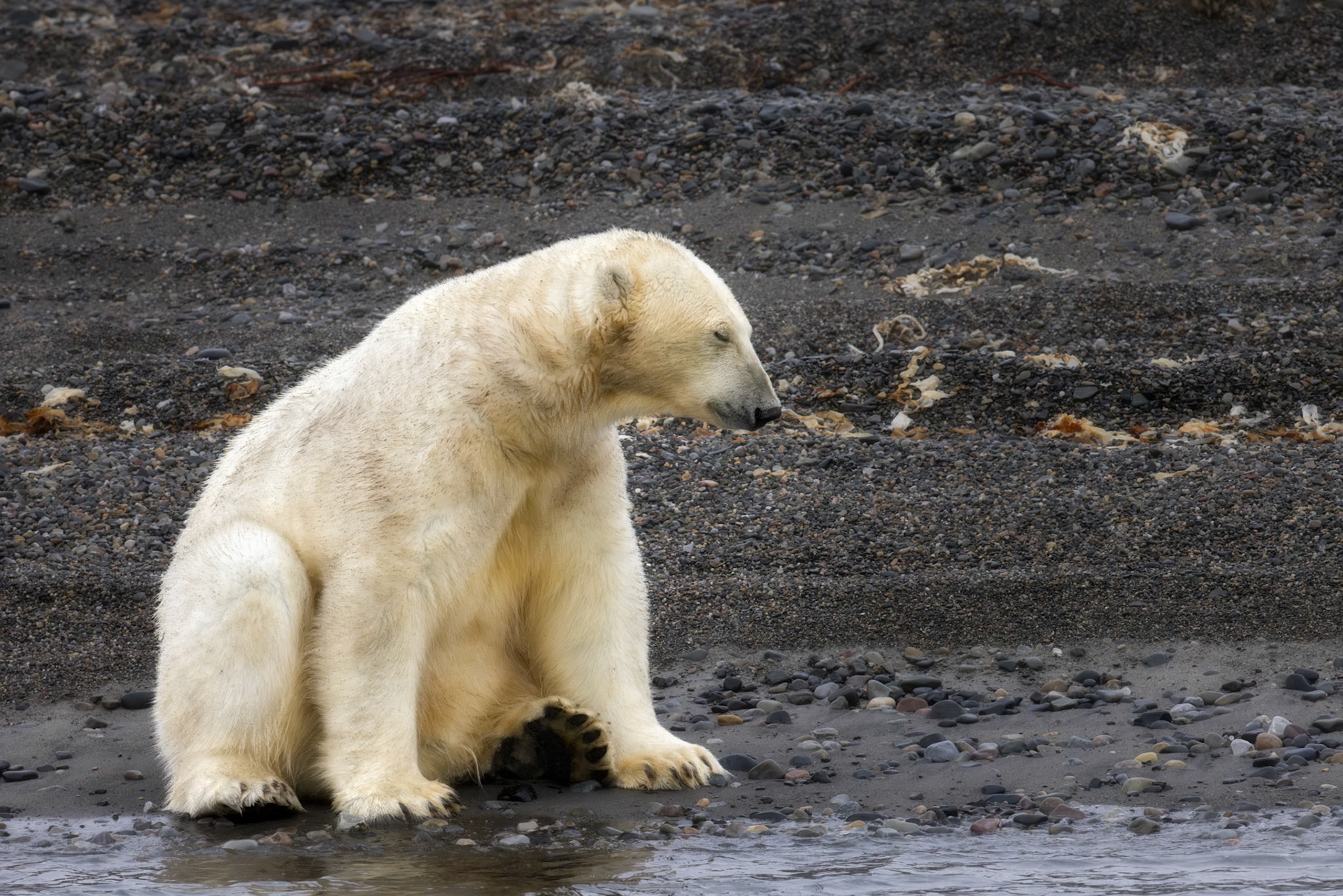 STILLNESS AT THE WATER'S EDGE