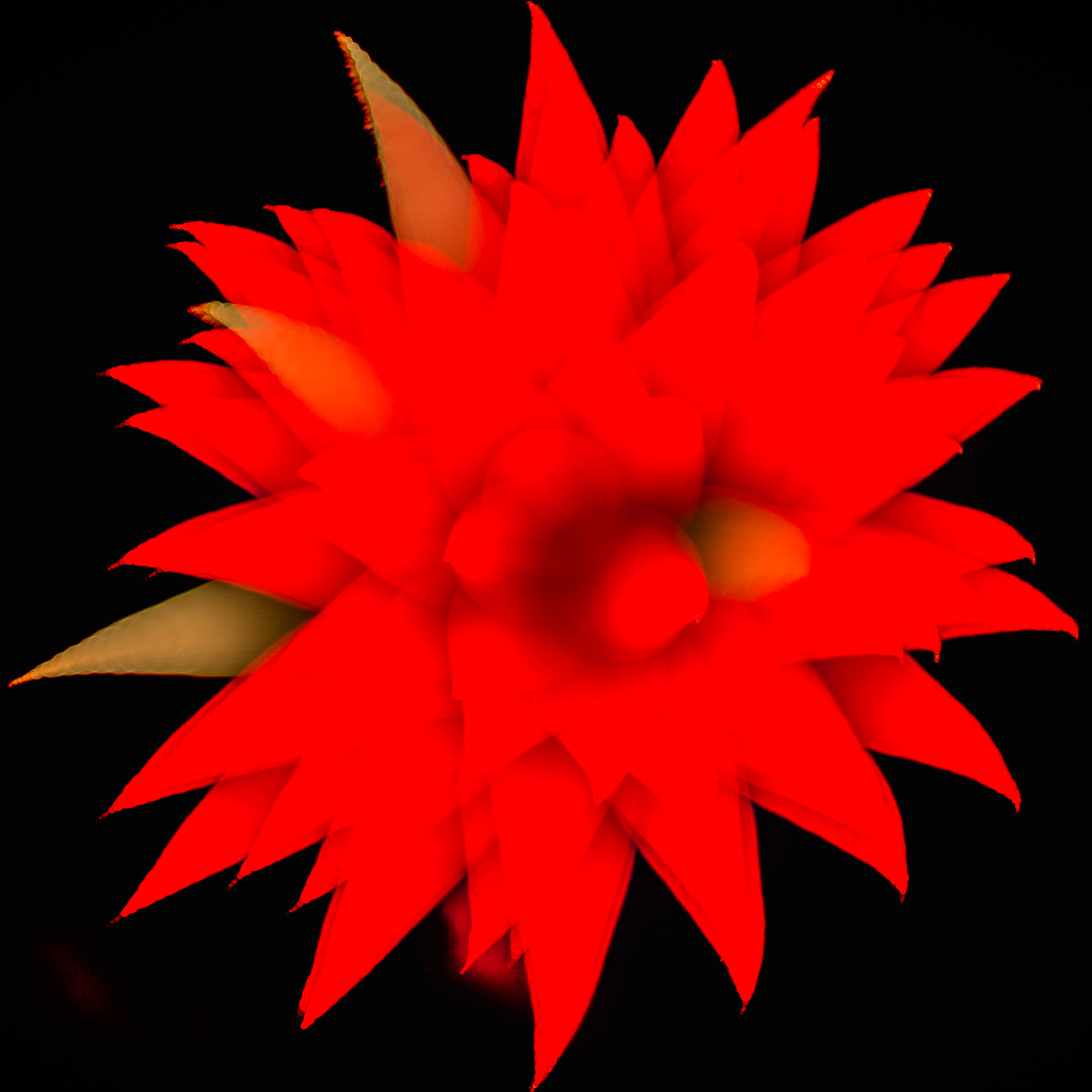 VELVET FIRE