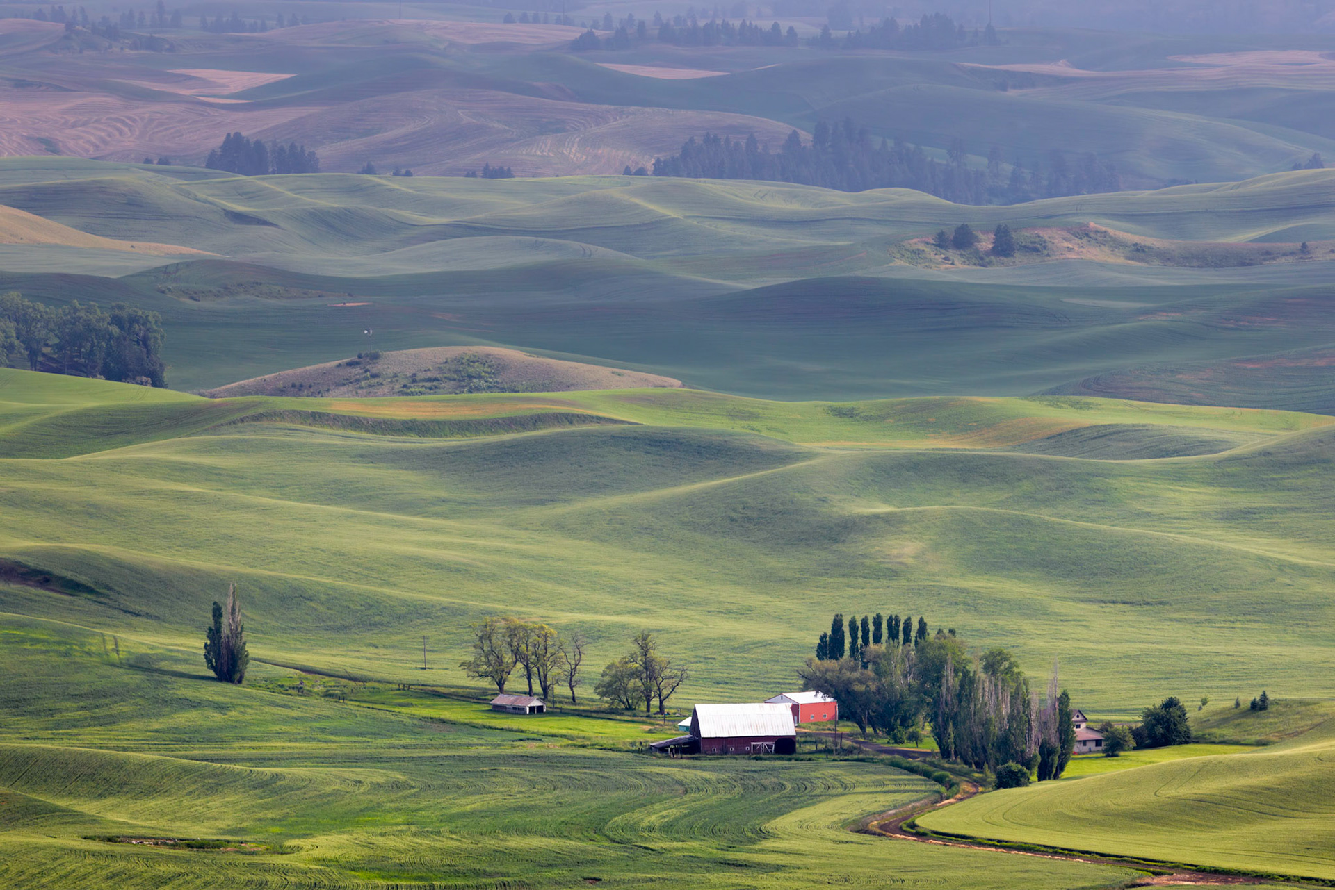 PASTORAL