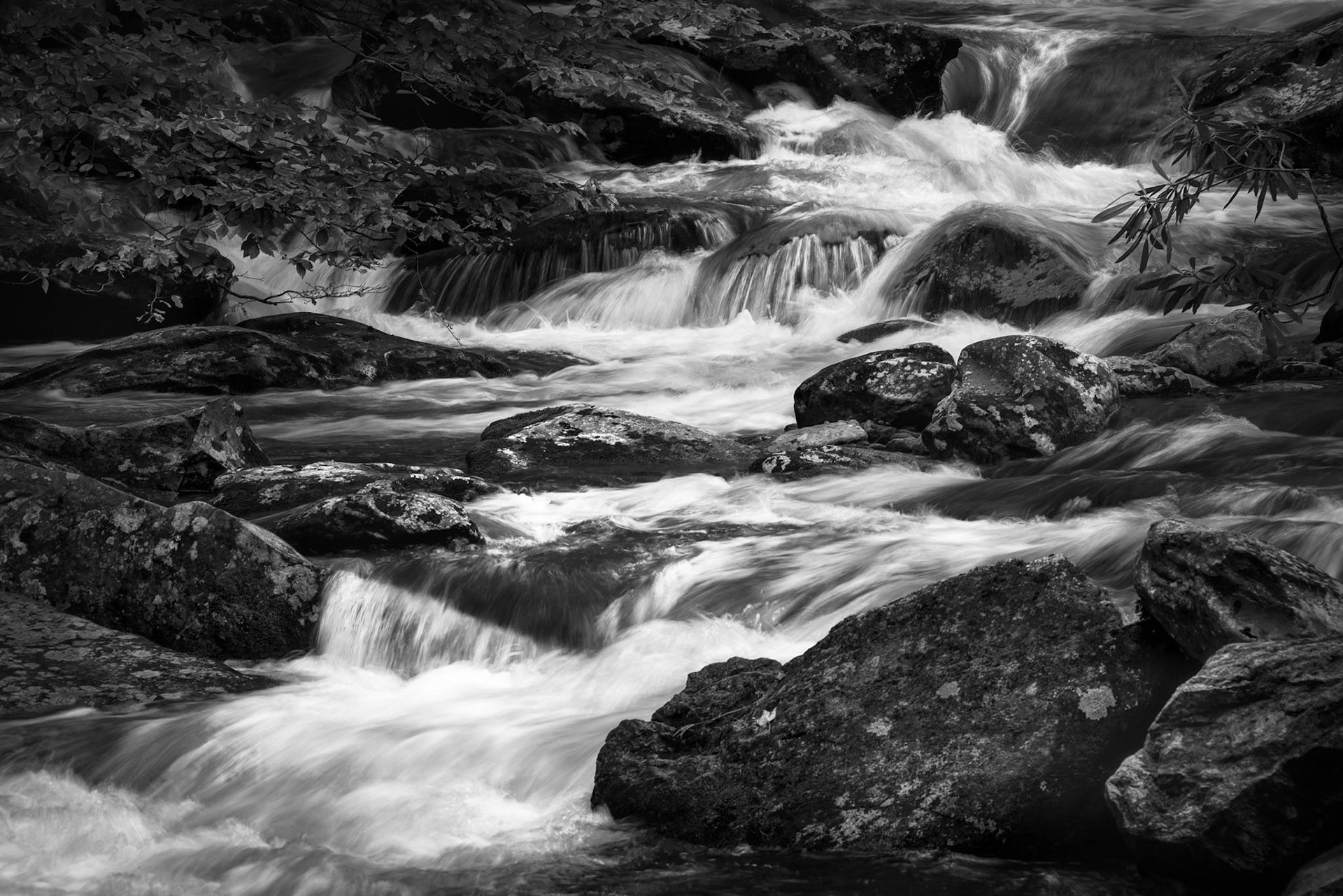 MIDDLE PRONG RIVER | SMOKIES