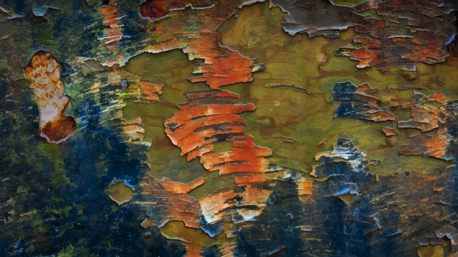 PEELING PAINT ABSTRACT I