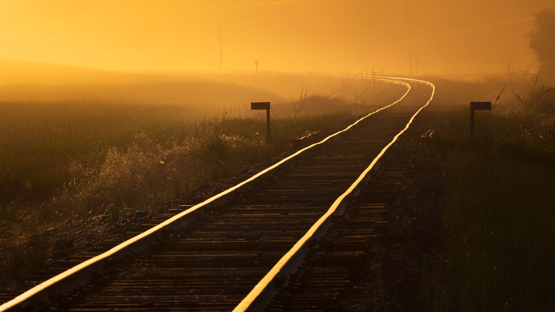 AMBER RAILS
