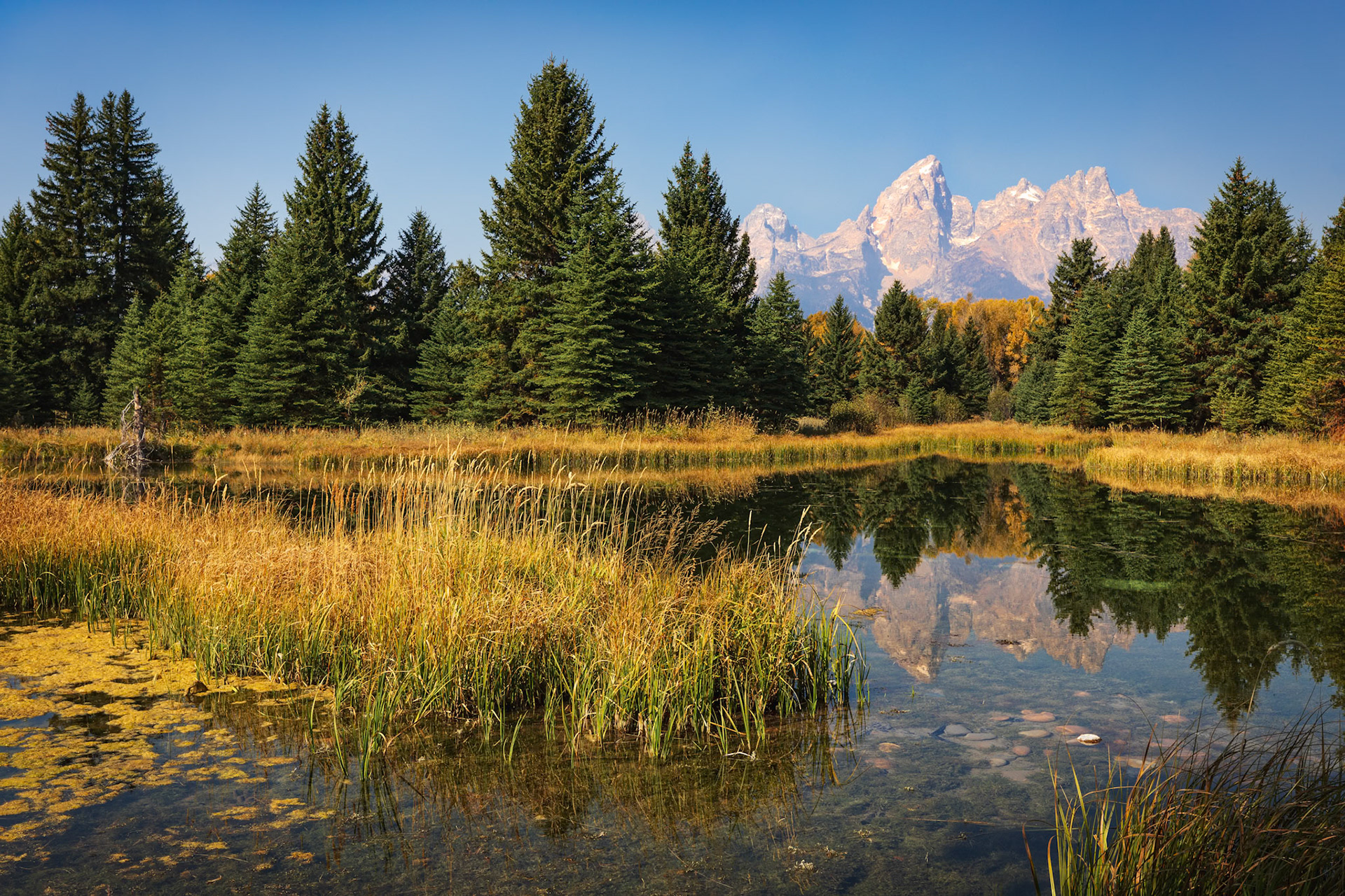 REFLECTIONS FROM SCHWABACHER LANDING | TETON NATIONAL PARK