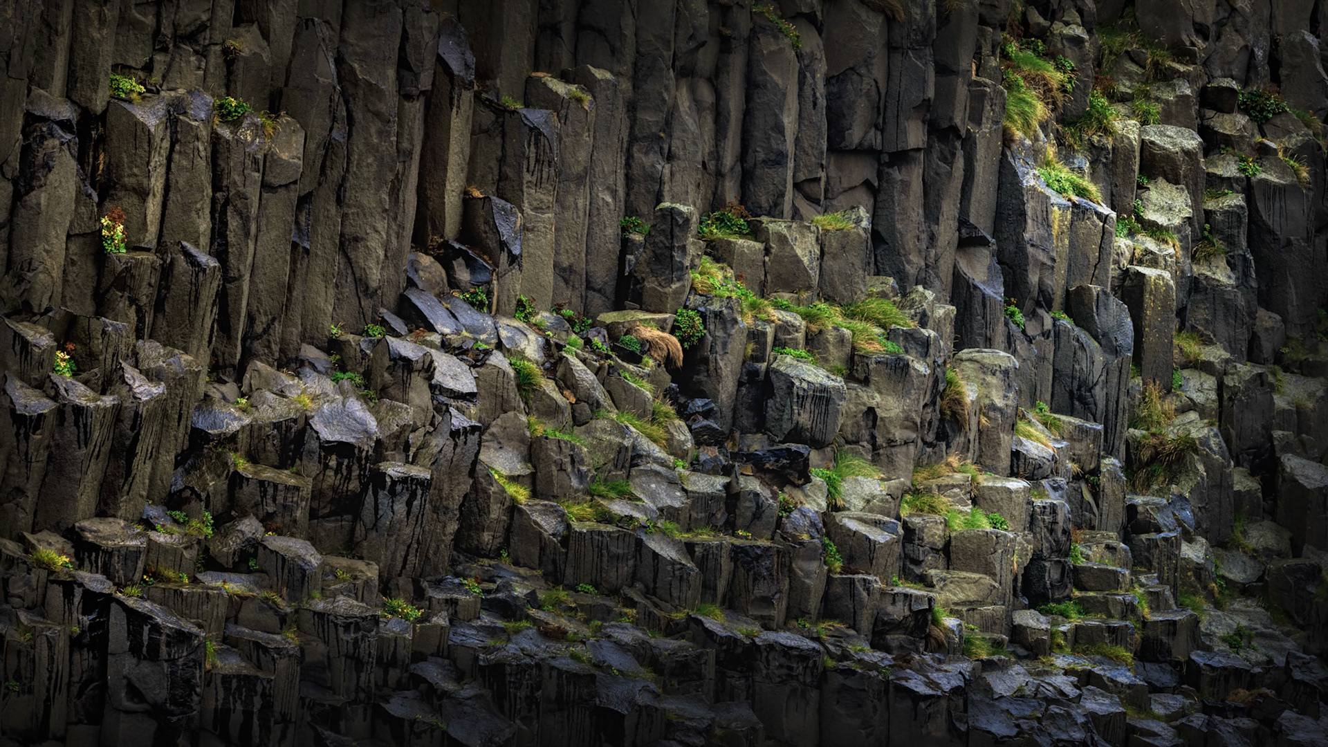 BASALT RHYTHM  |  Towering basalt columns rise from the Icelandic landscape in a remarkable display of natural geometry. Formed as ancient lava cooled and fractured, the cliff face reveals thousands of interlocking columns, each shaped by volcanic forces that helped create the island itself.
