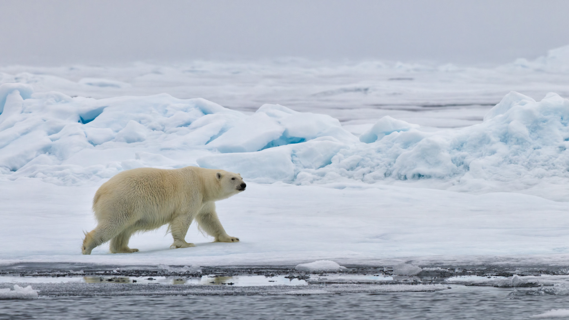 SOFT STEPS IN A BIG WORLD