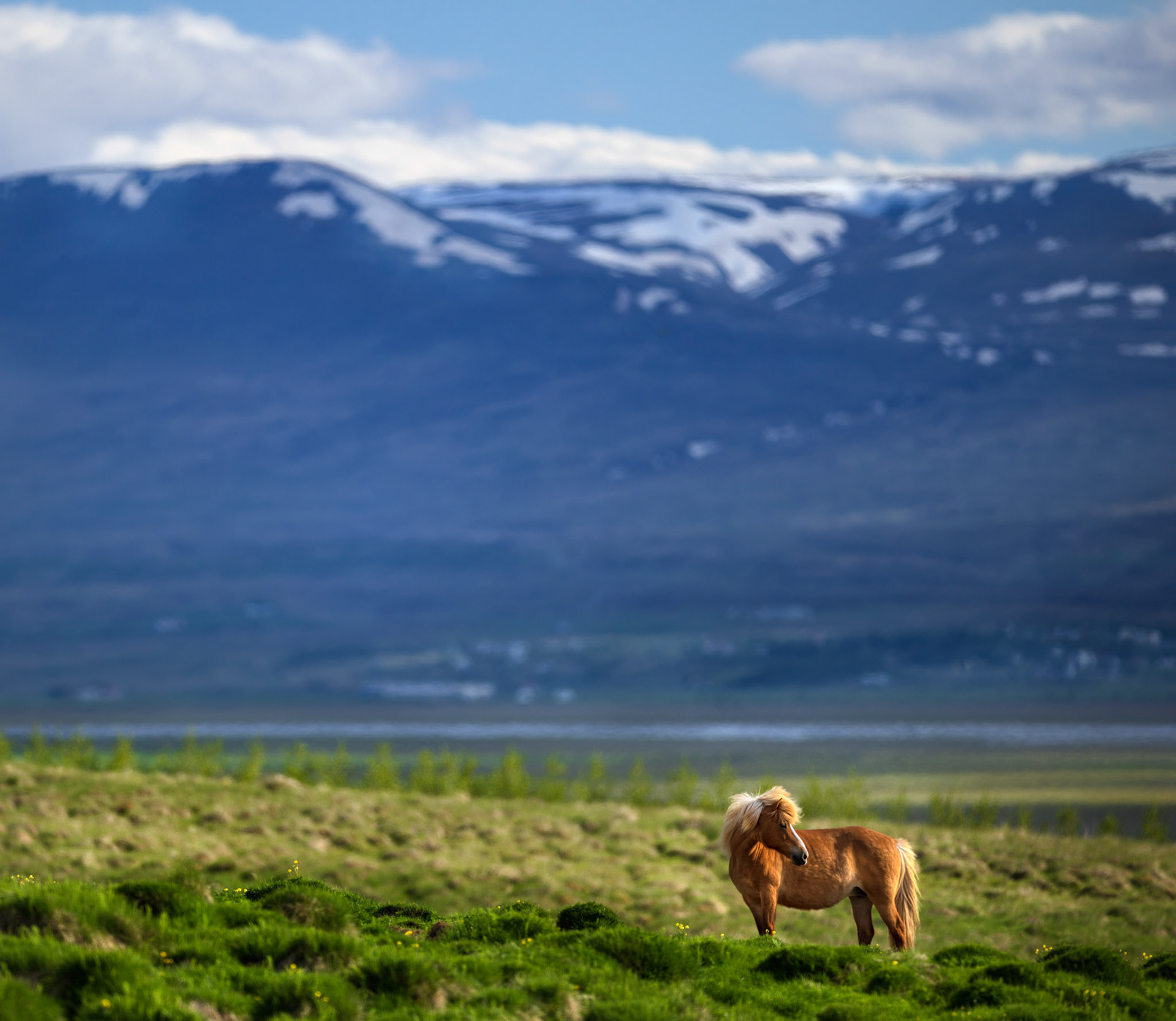 HOFSSTADIR RANCH