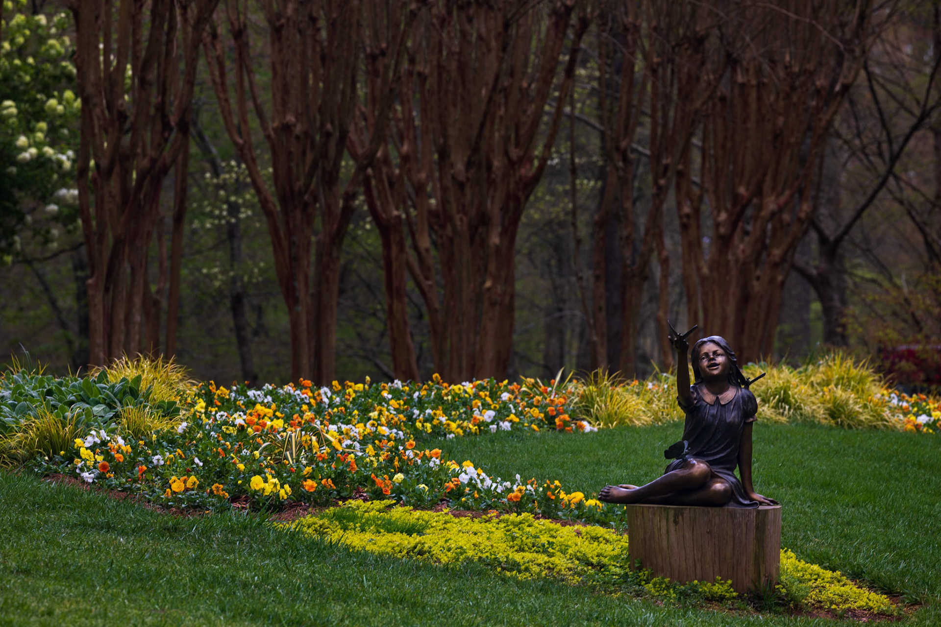 RELEASING THE BUTTERFLY 1