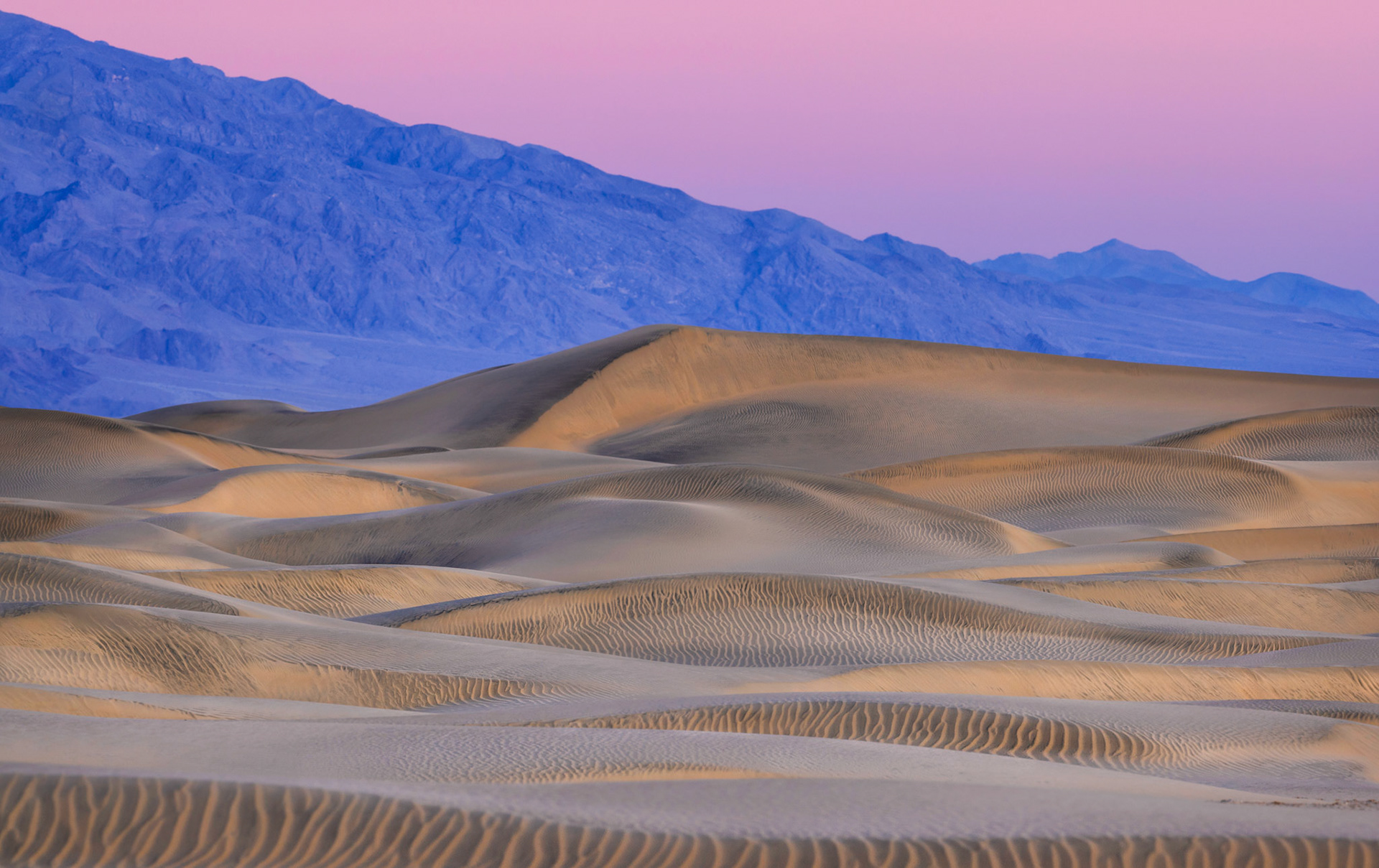 DUNES AT DAWN