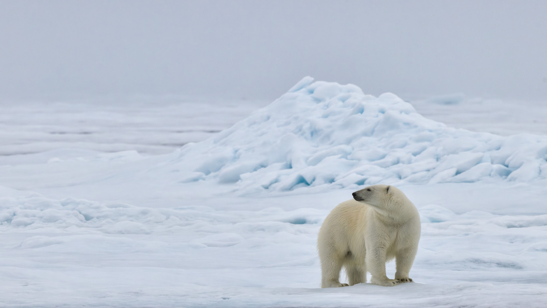 EMPRESS OF THE ARCTIC 6