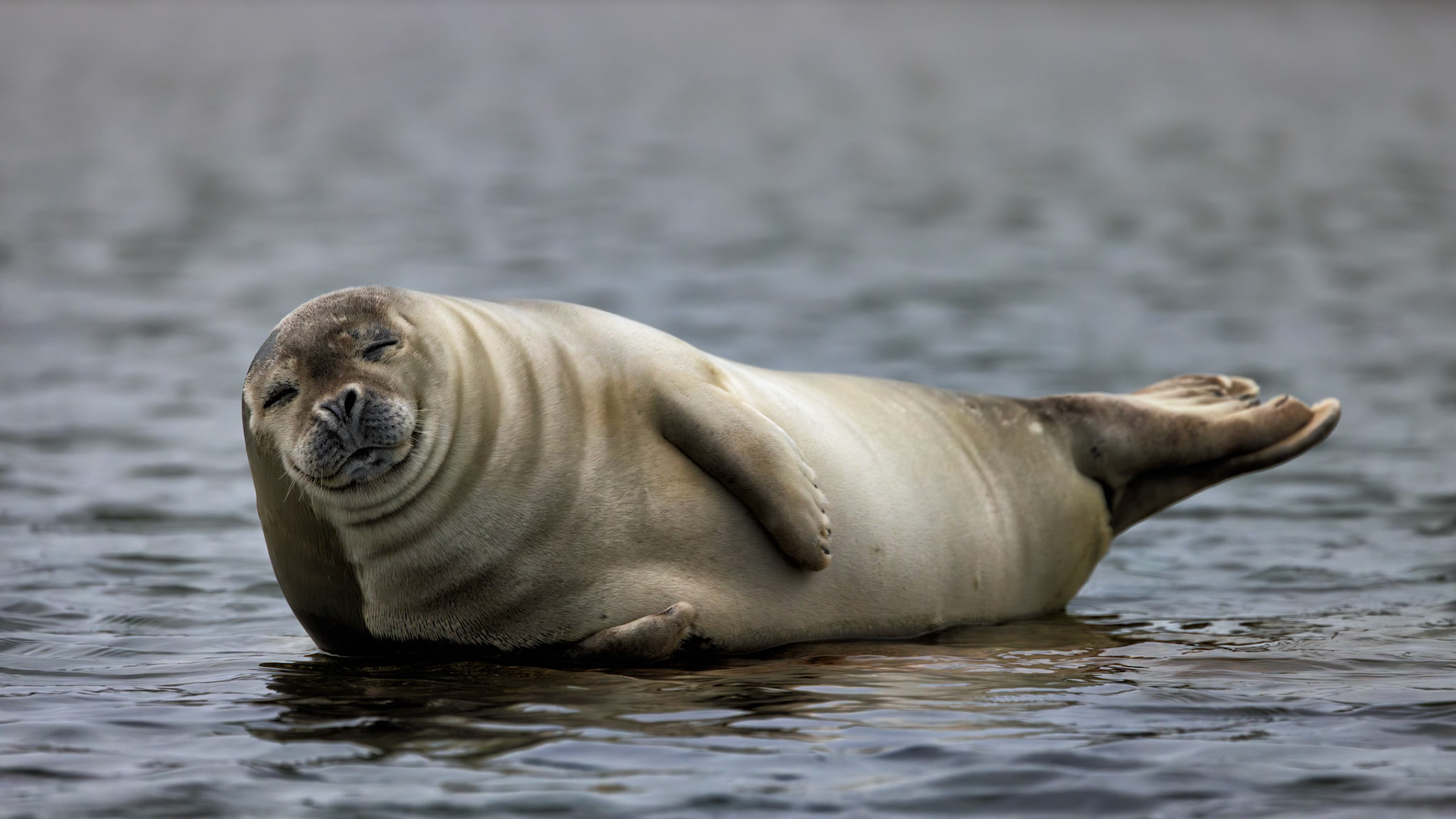 THE ART OF DOING NOTHING