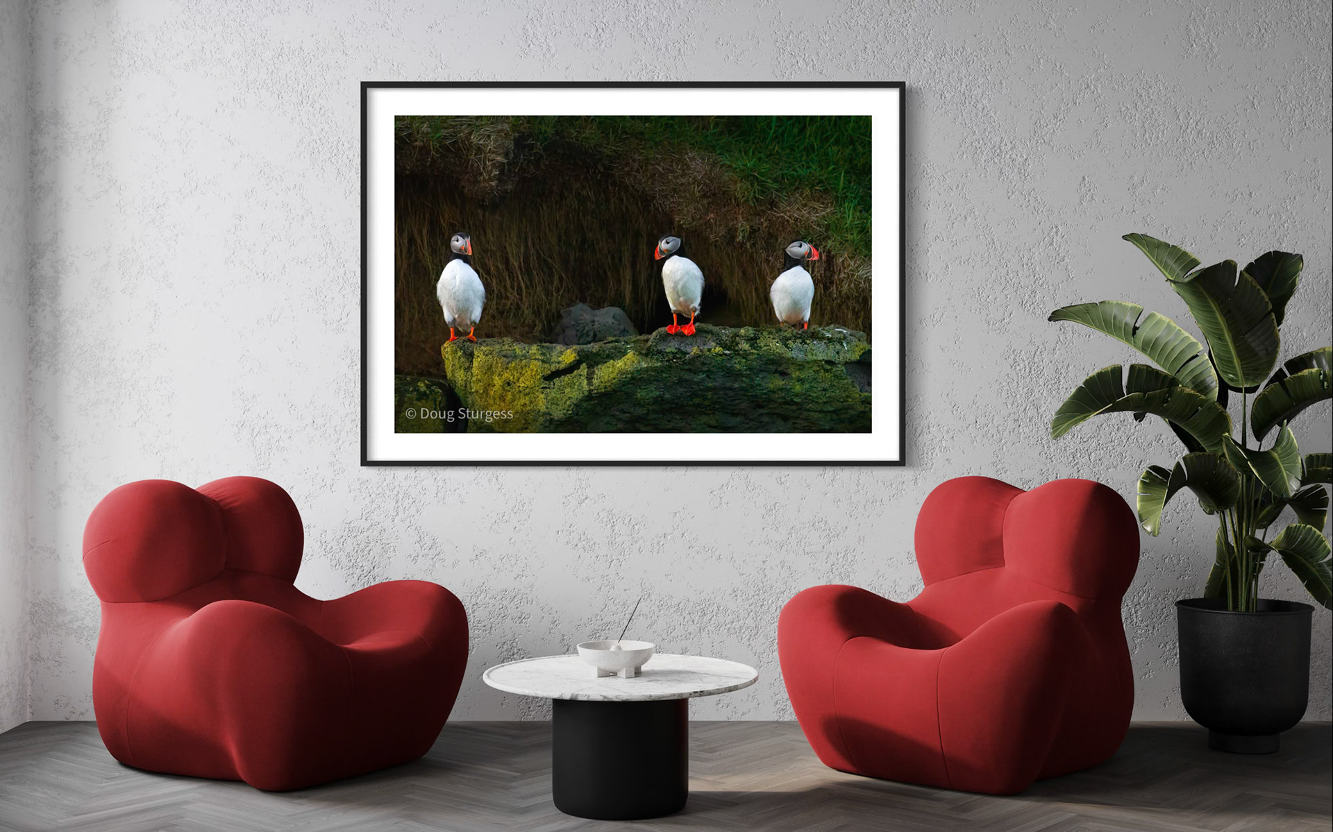 CLIFFSIDE COMPANIONS