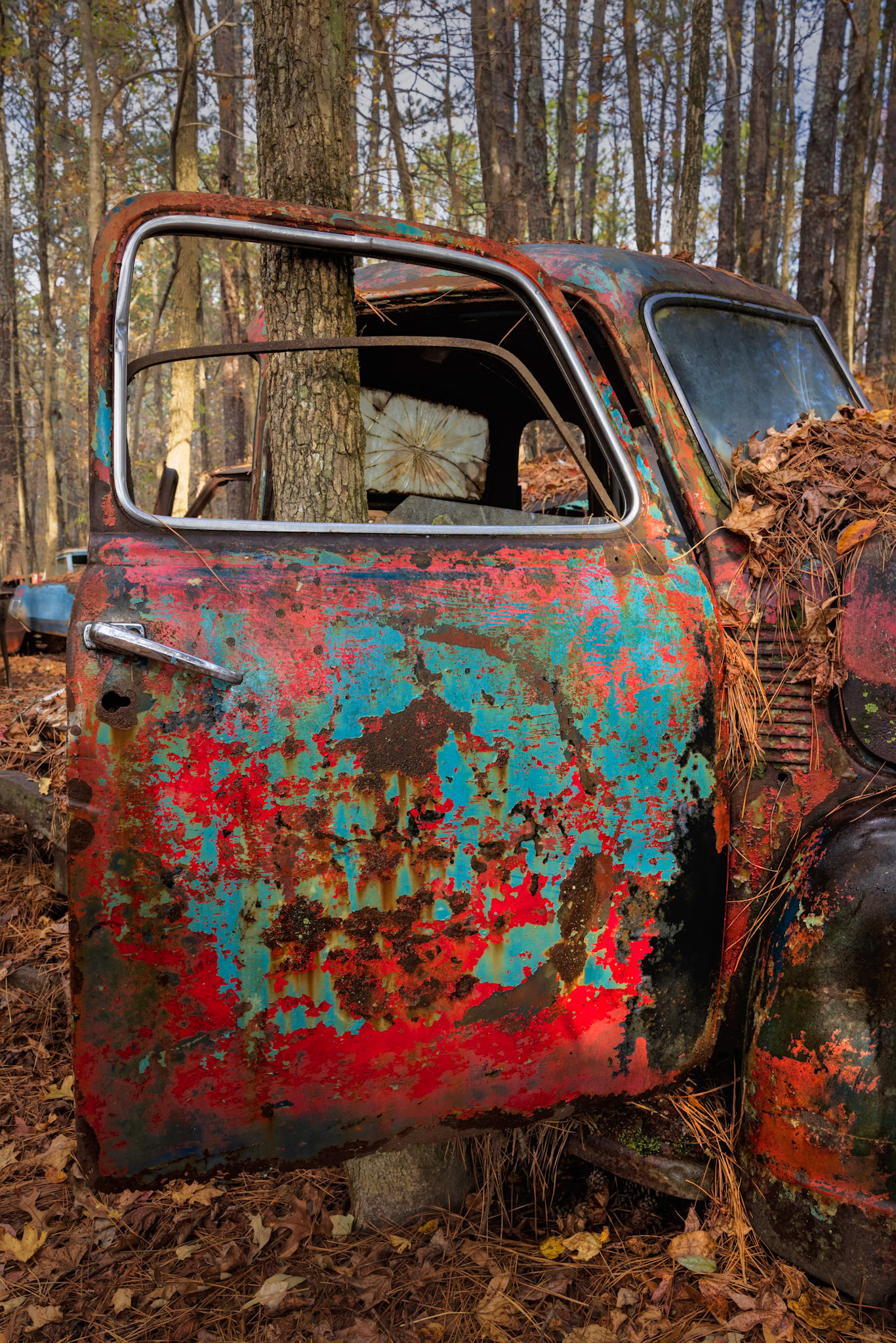 PAINTED BY RUST II  |  What first catches the eye is the explosion of color. Layers of turquoise, crimson, rust, and black transform a forgotten truck door into something that feels more like an abstract painting than a piece of machinery. Then you notice the tree growing through the cab, a quiet reminder that nature is always patient and always wins.At Old Car City, decay is not the end of the story. Metal becomes canvas, rust becomes texture, and a vehicle built to move through the world becomes rooted to a single place. The tree and truck now share the same fate, intertwined in a partnership neither could have imagined decades ago.