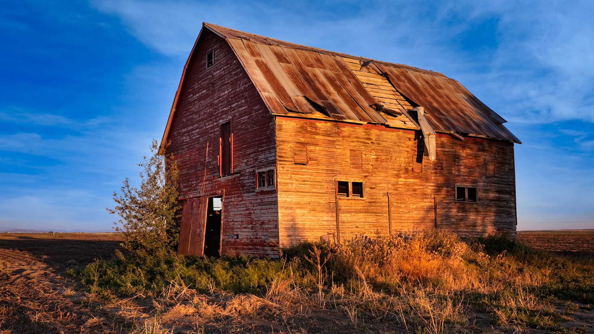 WEATHERED BARN IN GOLDEN LIGHT