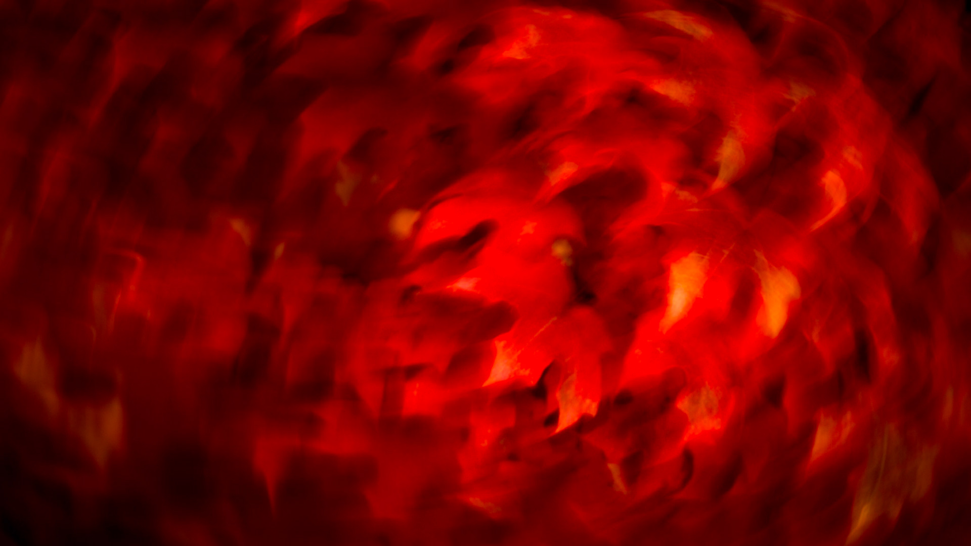 CONSUMED BY AUTUMN
