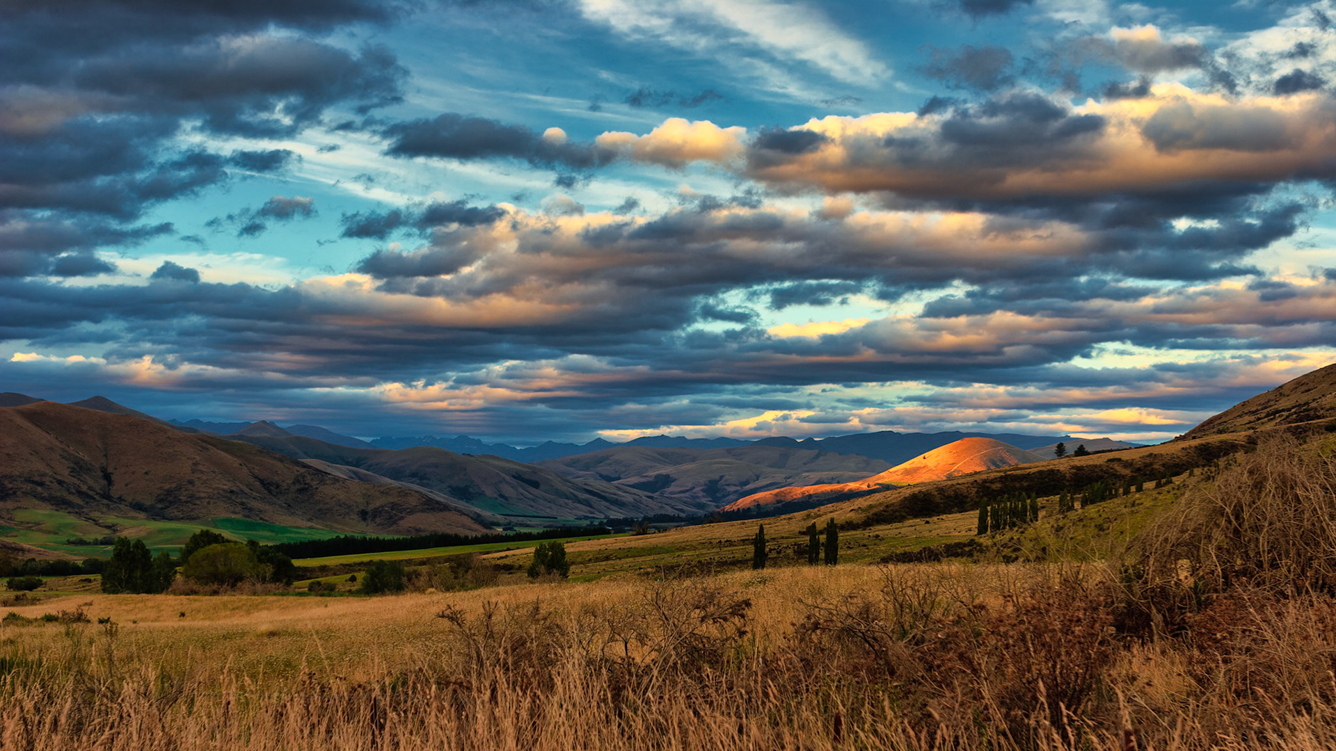 PASSAGE THROUGH NEW ZEALAND