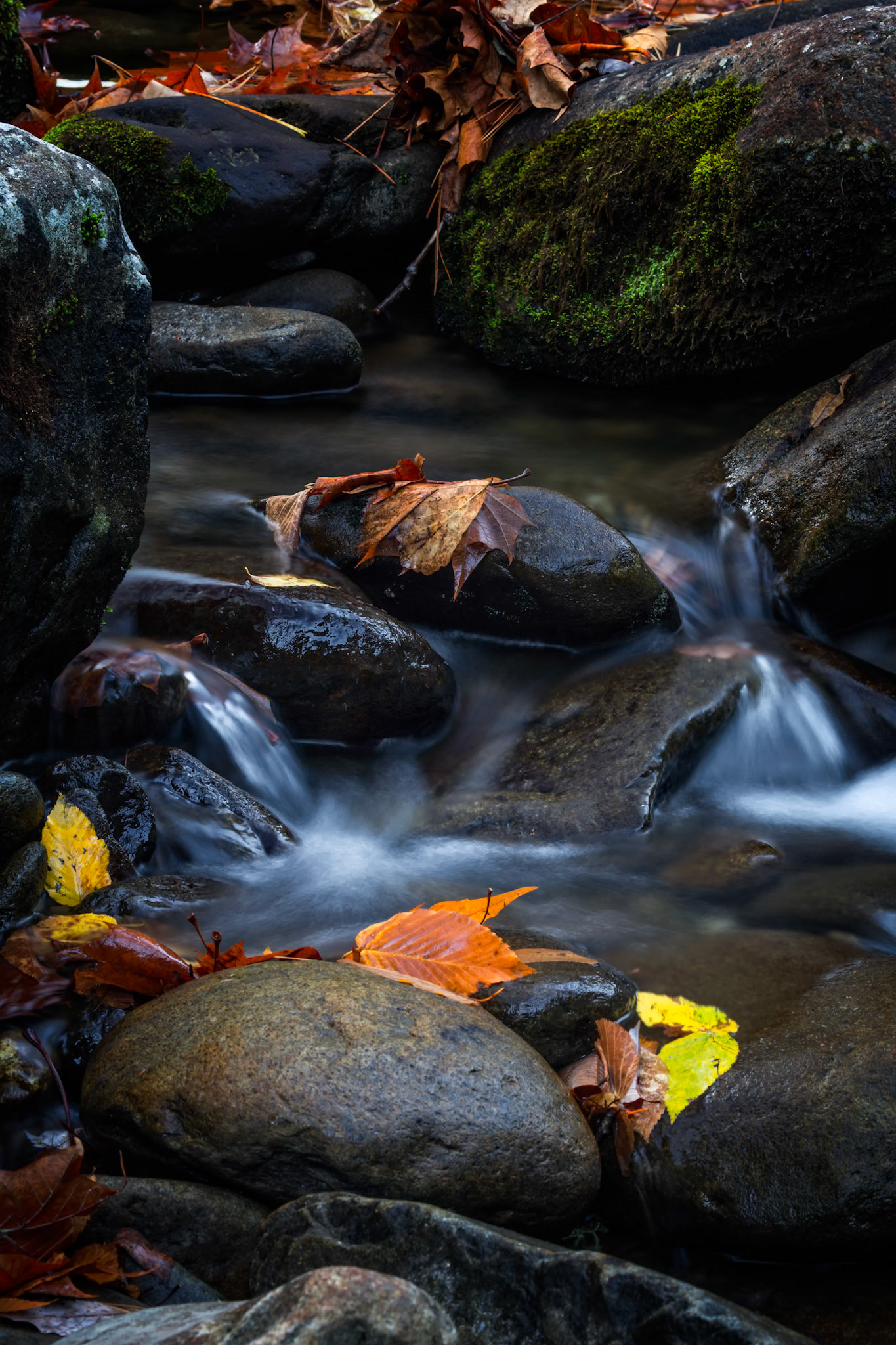 PEACEFUL BROOK | SMOKY MOUNTAINS | TENNESSEE
