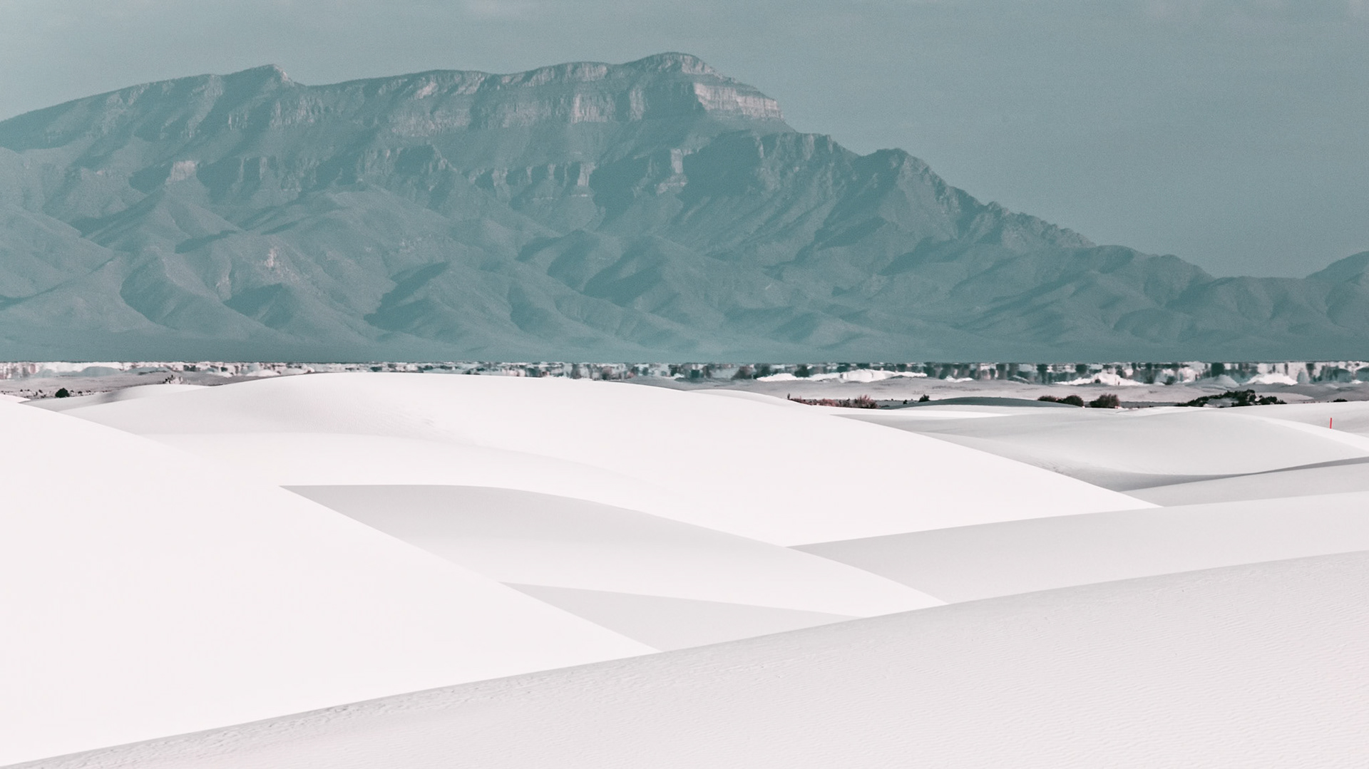 BEYOND THE DUNES