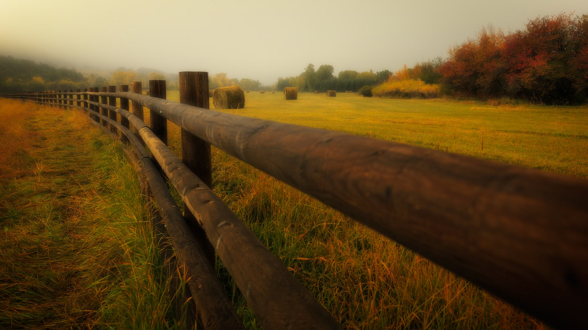 FENCED PASTURE
