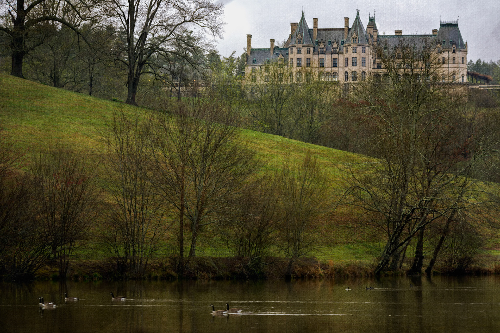 BILTMORE REFLECTIONS  |  Canada geese glide across a quiet pond below the Biltmore Estate. Perched high on the hillside, the mansion overlooks the landscape while the water and shoreline trees create a peaceful foreground scene.The image balances the grandeur of the estate with the simplicity of everyday life on the grounds. The geese, still water, and soft spring colors draw the eye through the frame toward one of America's most recognizable homes.