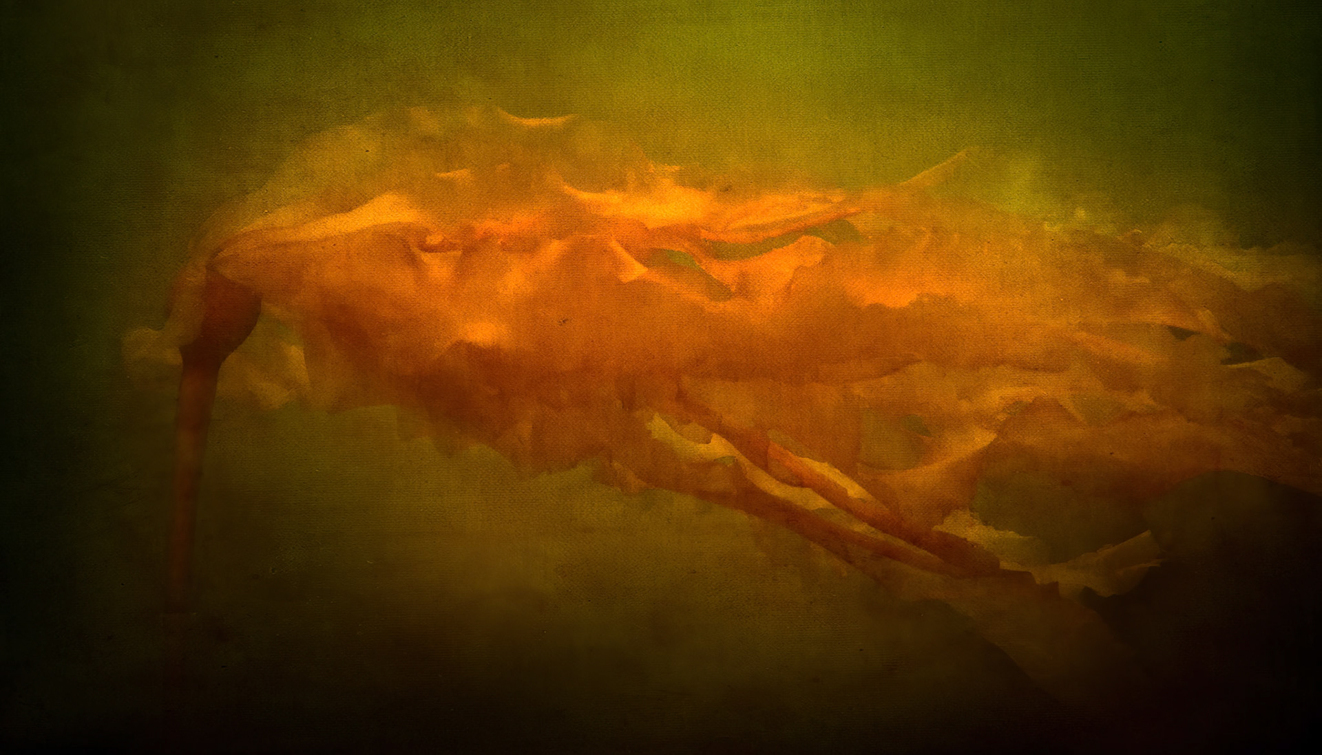 GHOST BENEATH THE WATERS