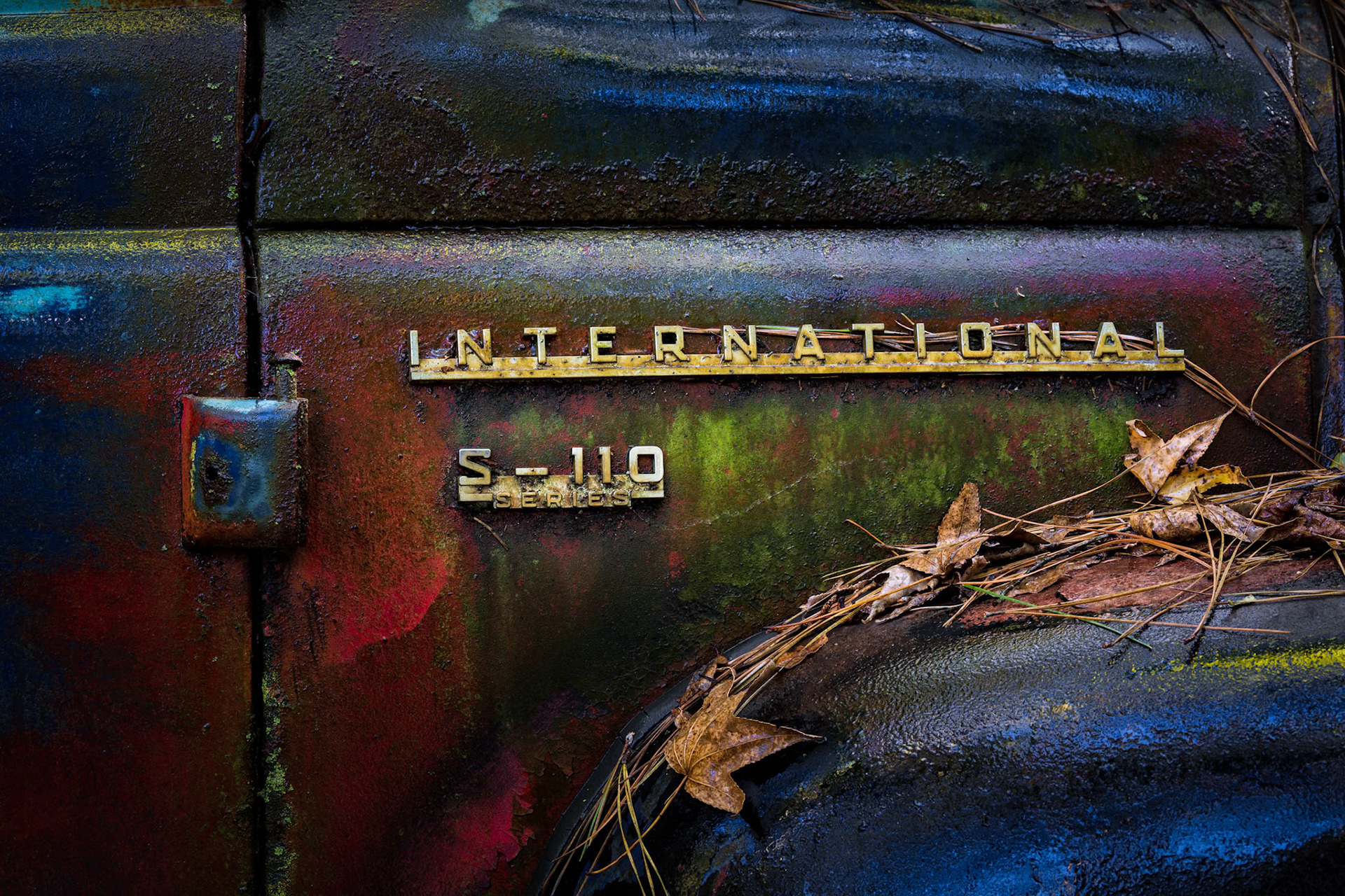 INTERNATIONAL PATINA  |  Long after the miles were driven and the work was done, this International S110 remains identified by a few surviving letters and the unmistakable fingerprints of time. Rust, fading paint, pine needles, and weather have transformed a utilitarian truck into an unexpected canvas of color and texture.What once rolled off an assembly line as a working vehicle has become something entirely different. Here at Old Car City, nature and history coexist, creating beauty not despite the passage of time, but because of it.
