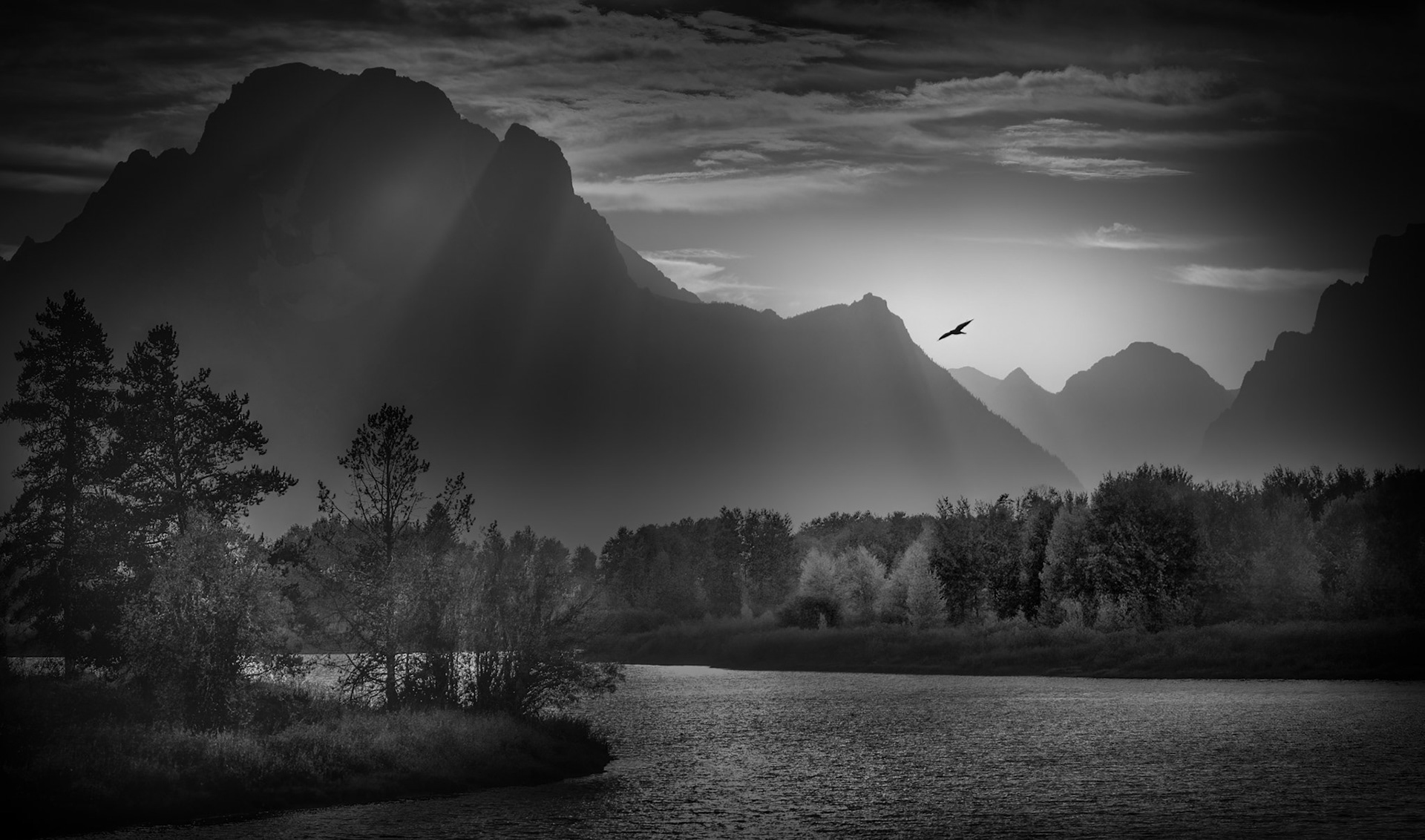 WHISPERING LIGHT  |  The first light of day spills across the valley, revealing layers of mountains, forest, and water in delicate shades of silver and black. Sunbeams break through the darkness, illuminating the landscape with a quiet grandeur that has drawn photographers to this iconic bend for generations.Then, for a fraction of a second, everything aligned.A lone bird glides through the opening between the peaks, perfectly positioned against the glowing horizon. What could have been a beautiful landscape becomes something more, a story of freedom, scale, and timing. The small silhouette brings life to the immense scene, offering a sense of movement within an otherwise tranquil world.Rendered in black and white, the image strips away distraction and emphasizes form, light, and emotion. The mountains stand timeless and powerful, while the bird reminds us that nature's most memorable moments are often the ones we never planned. A single wingbeat transforms the scene from a photograph into an experience